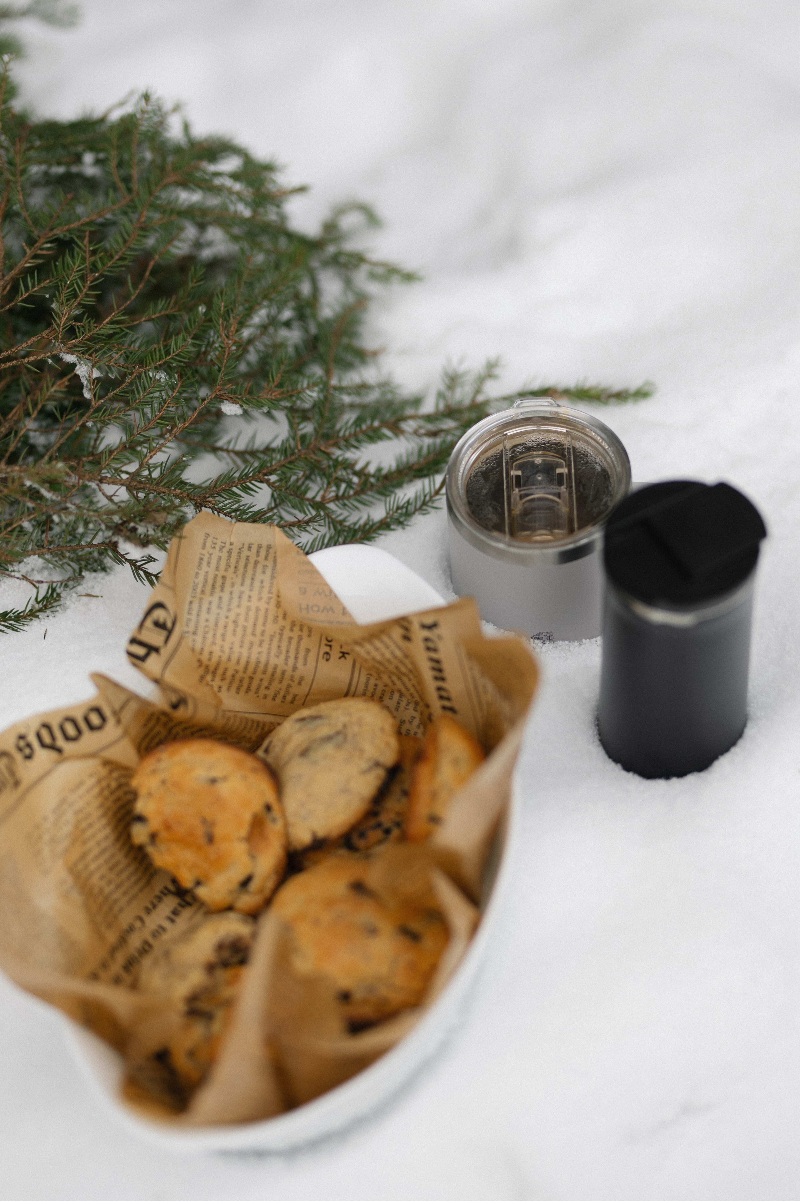 «ЗИМНИЙ ЛЕС». Maria Startseva Photo