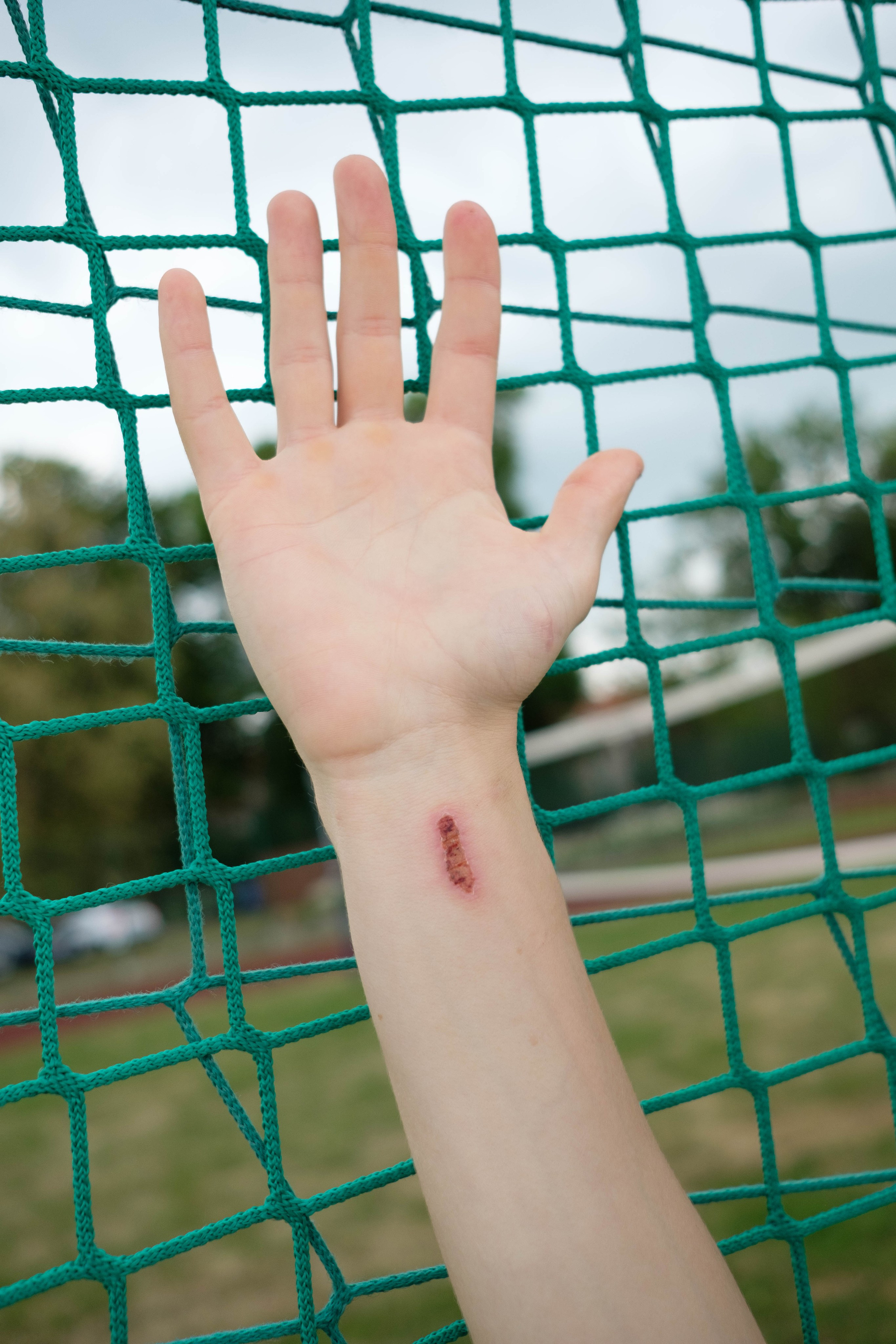 Growing pains. Photographer, Documentary and Art