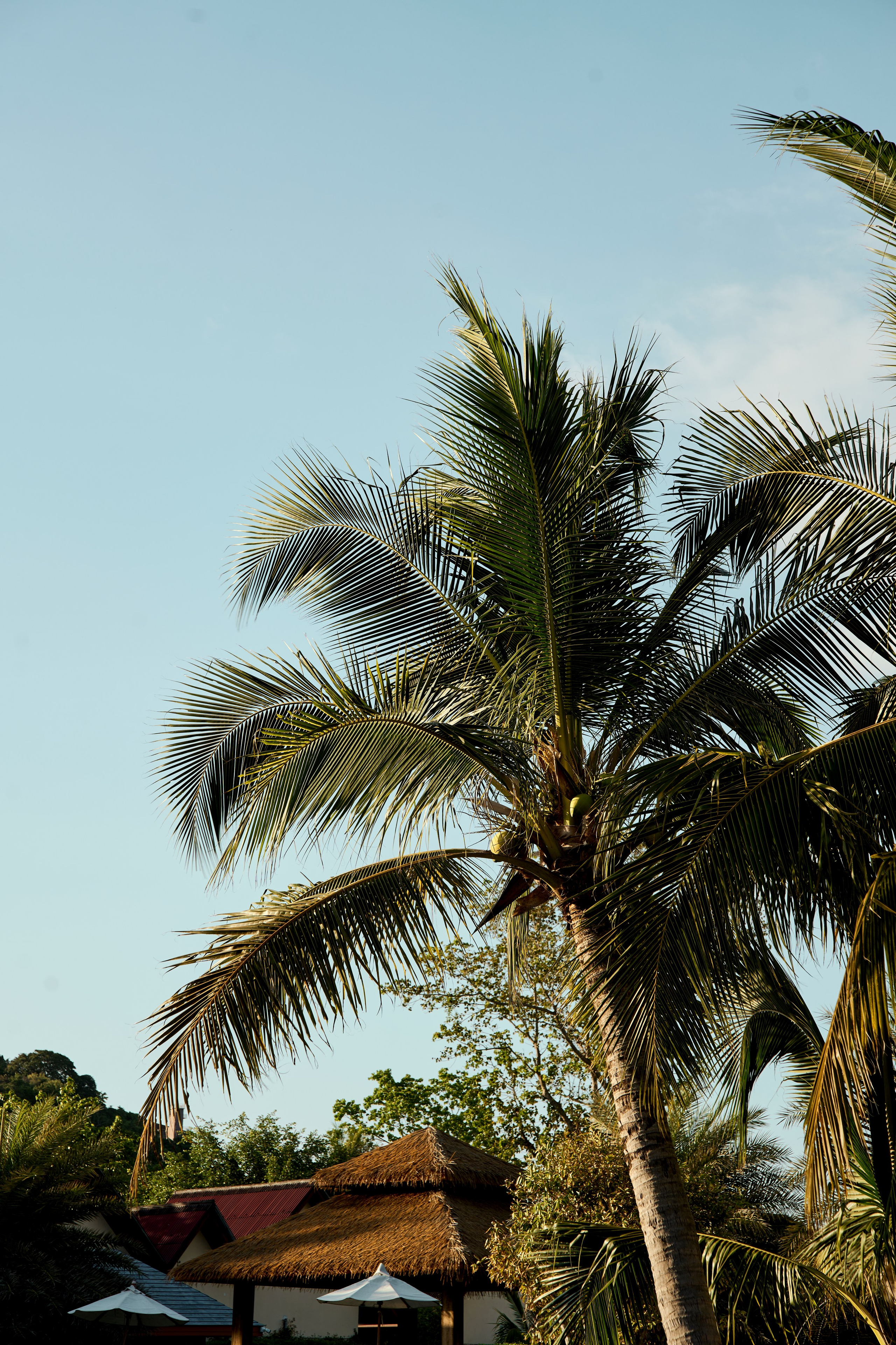 ТАИЛАНД. Студийный фотограф в Екатеринбурге Бшари Заана