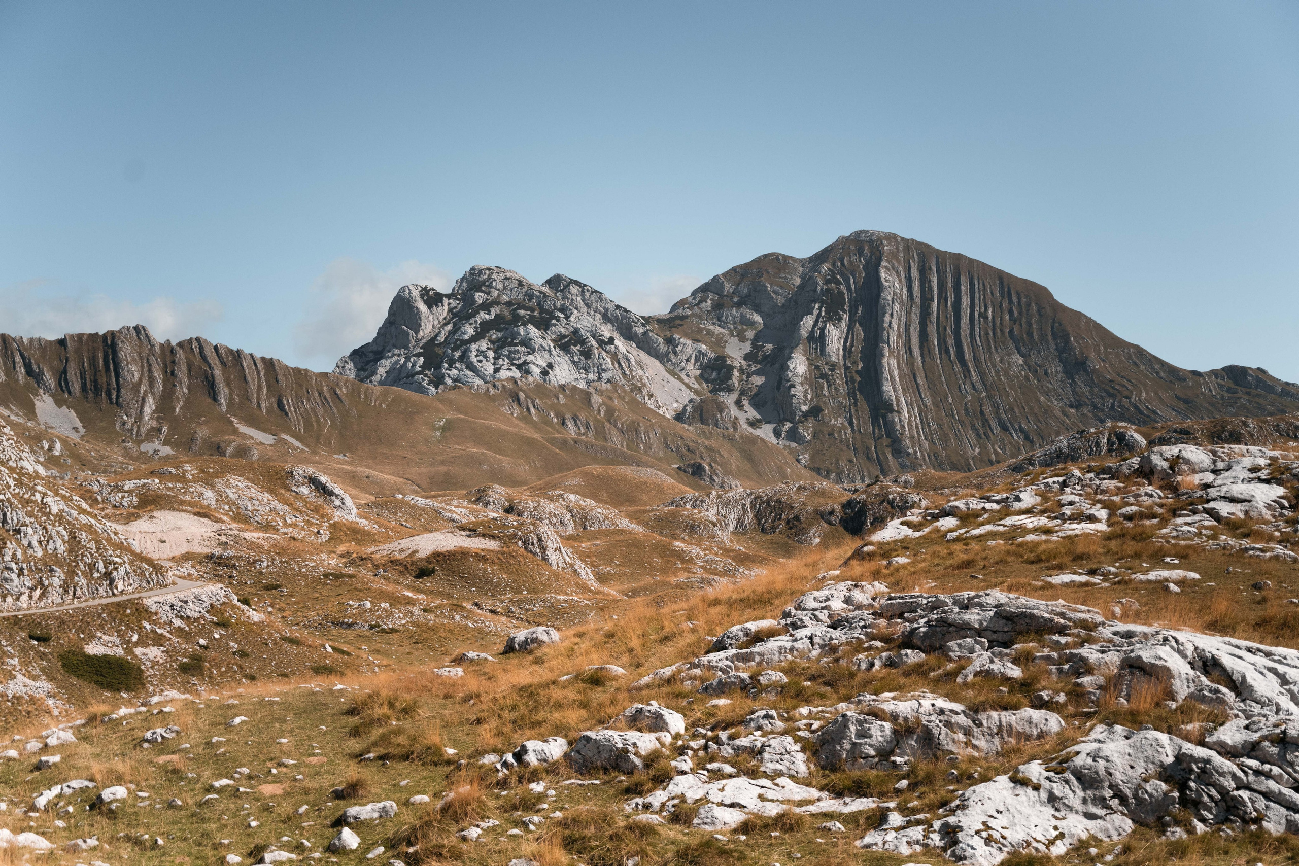 ПРУТАЖ. ЧЕРНОГОРИЯ. Фотограф в Белграде Чугреева Елена