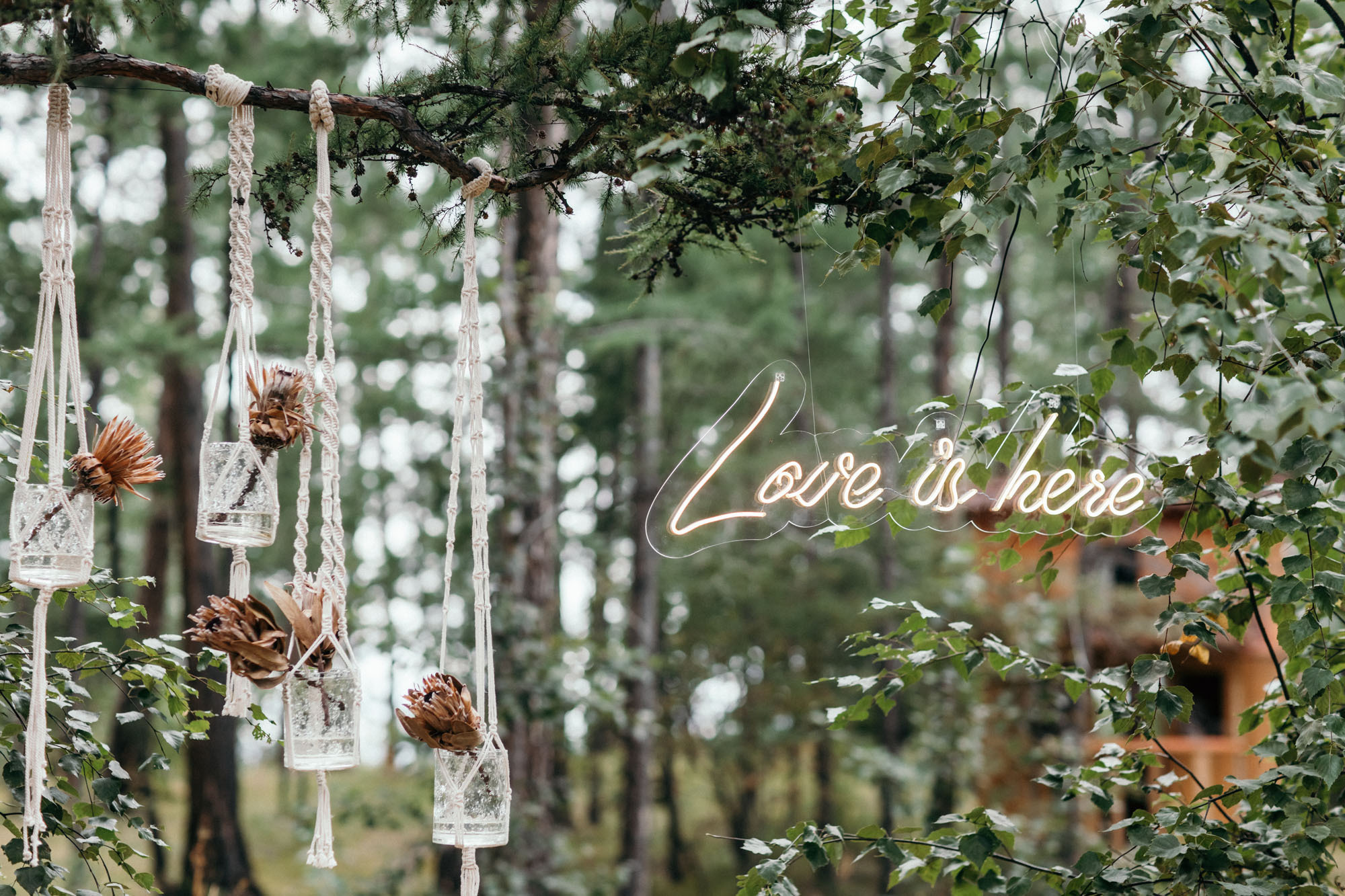 Александр и Катрин. Главная