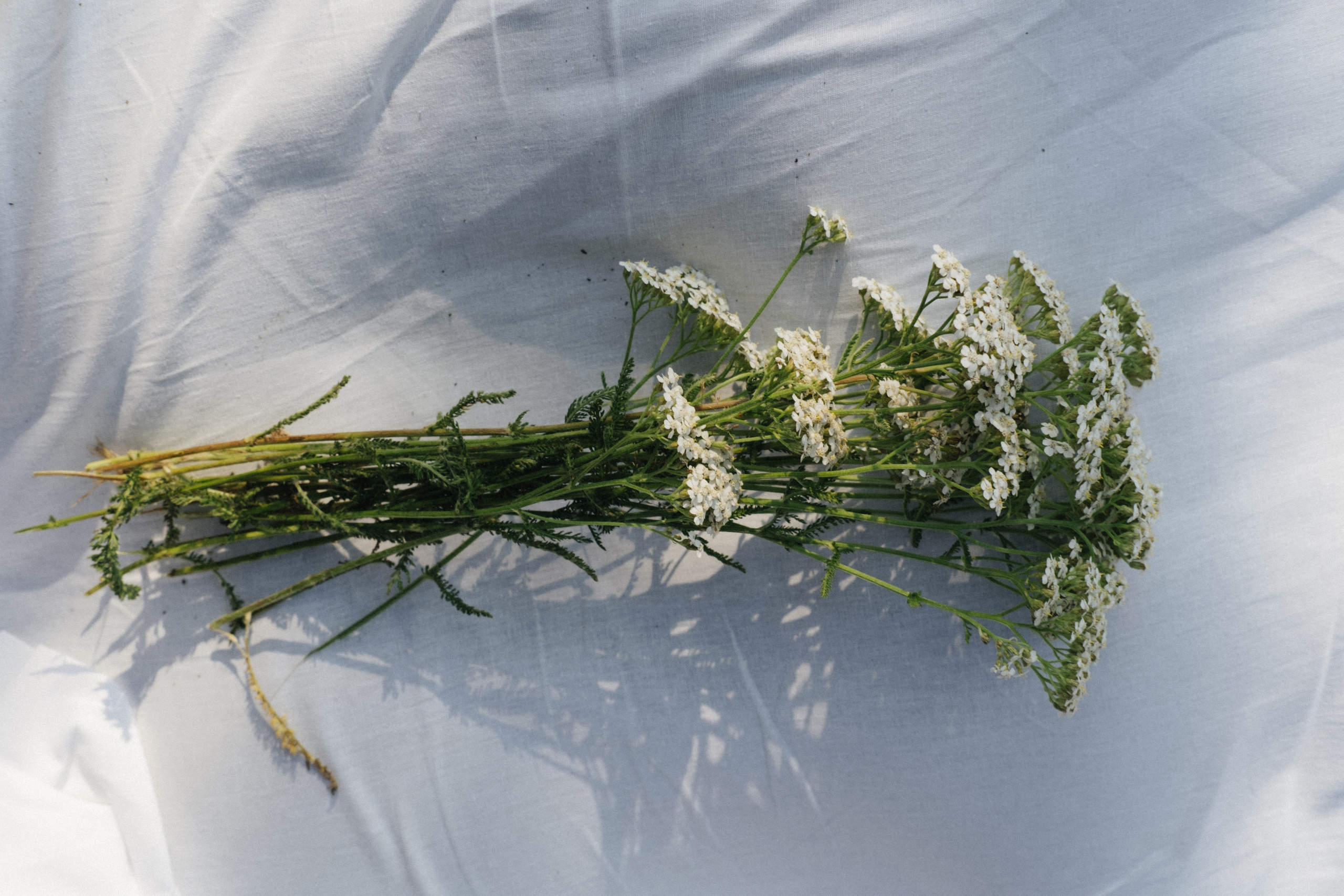 Фотосессия Love Story. Свадебный фотограф в Екатеринбурге — заказ профессиональной съемки. Свадебный фотограф в Екатеринбурге — заказ профессиональной фотосесии, все виды фотосъемки