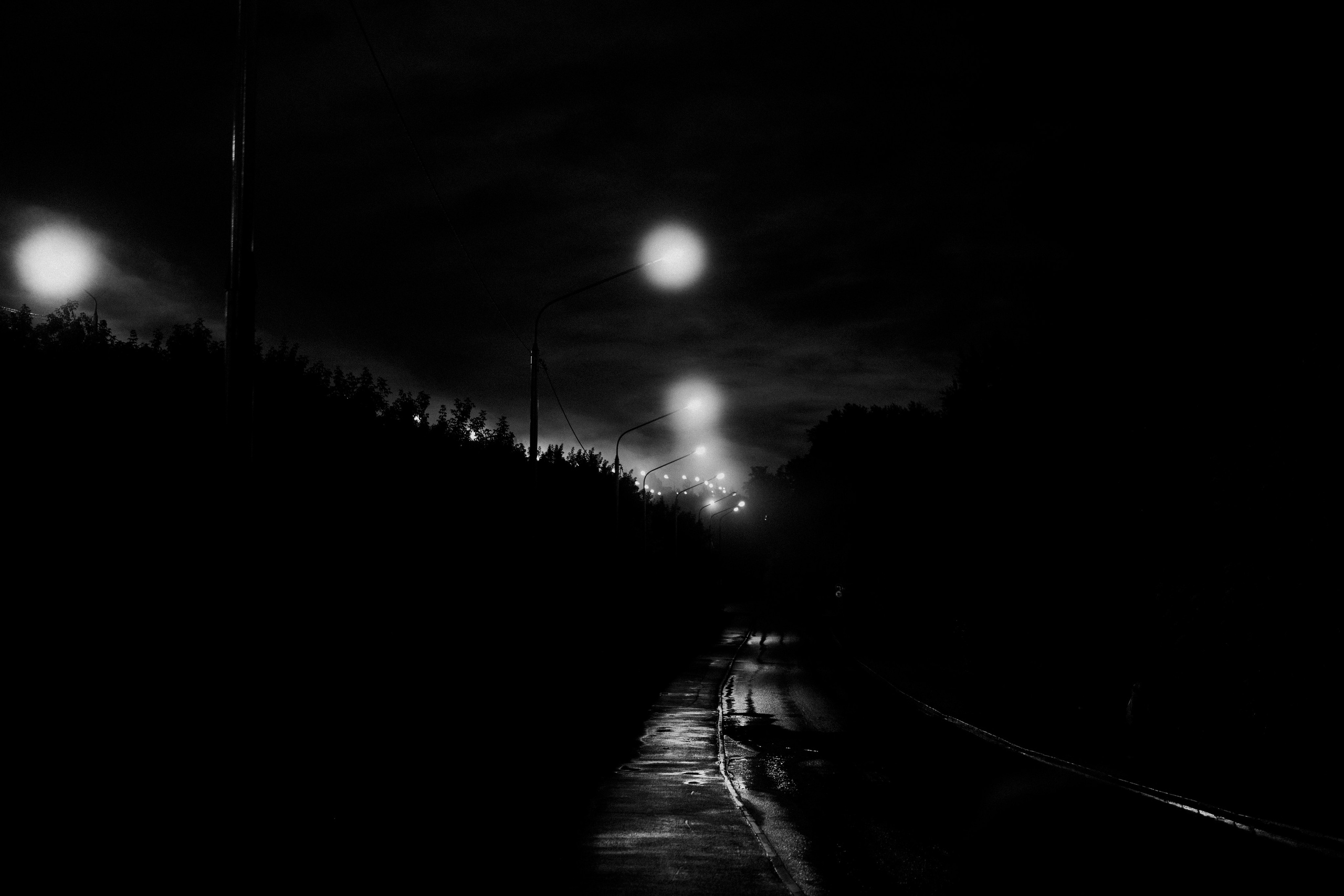 Прогулка после дождя. Veronika Popadeikina Photographer