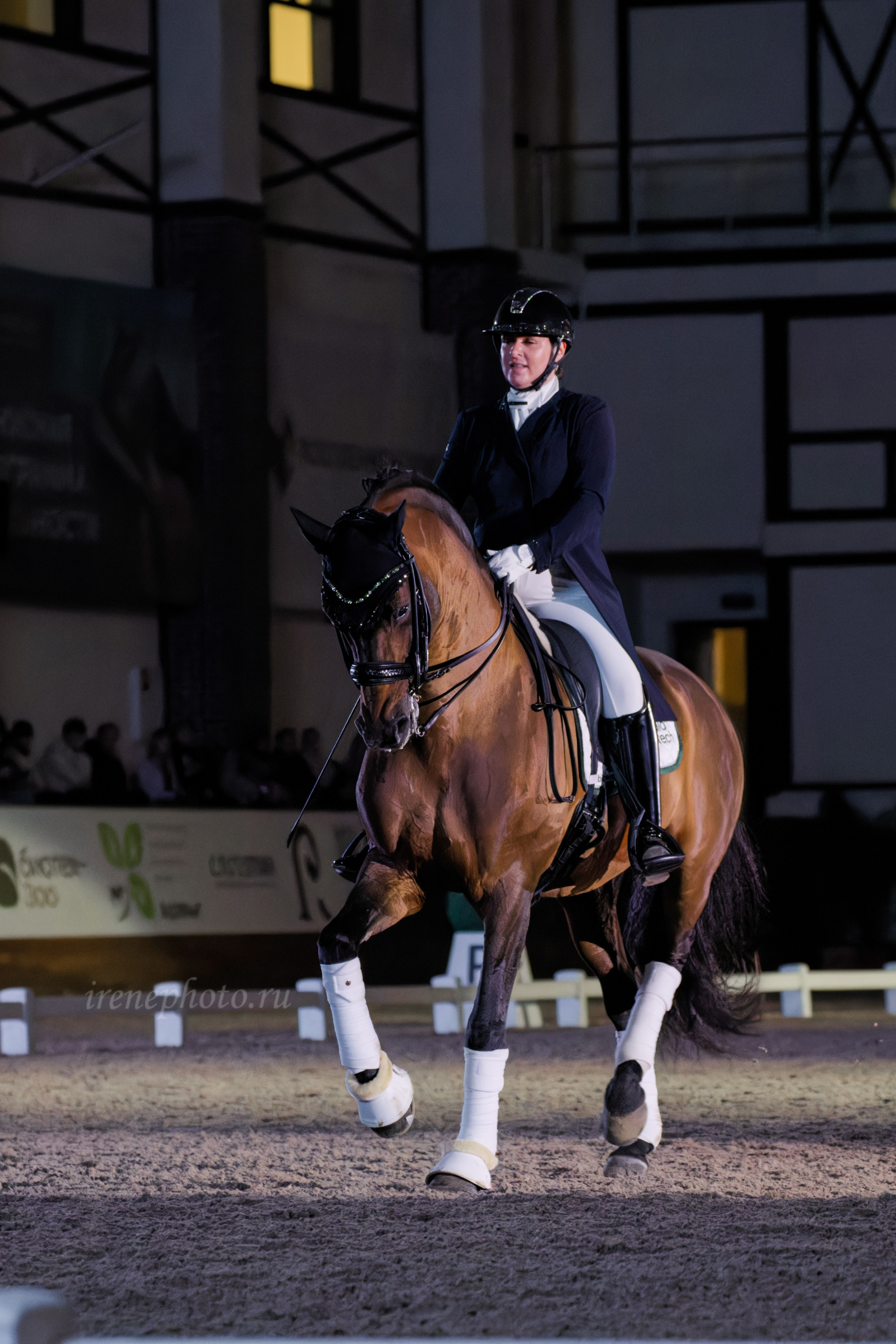 Конная Россия 2024. Irenephoto.ru
