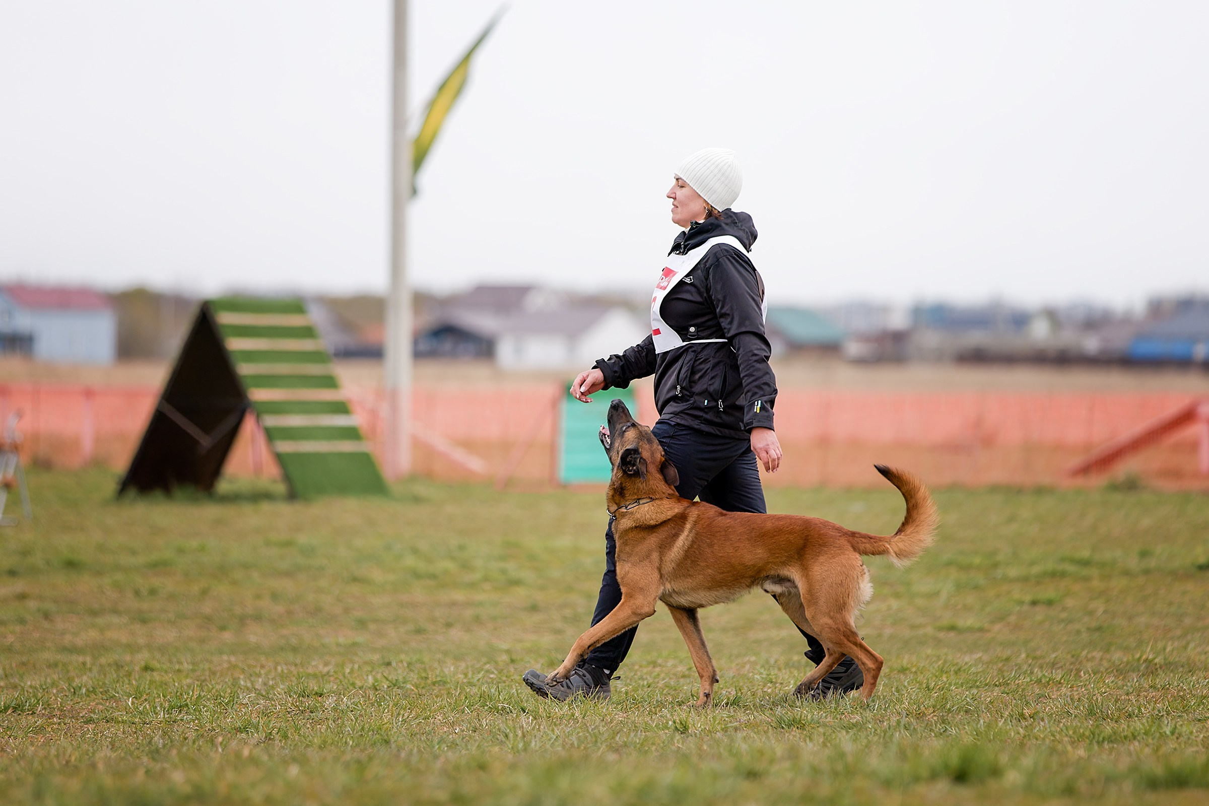 Чемпионат СЗФО по IGP 1 — 3. Irenephoto.ru