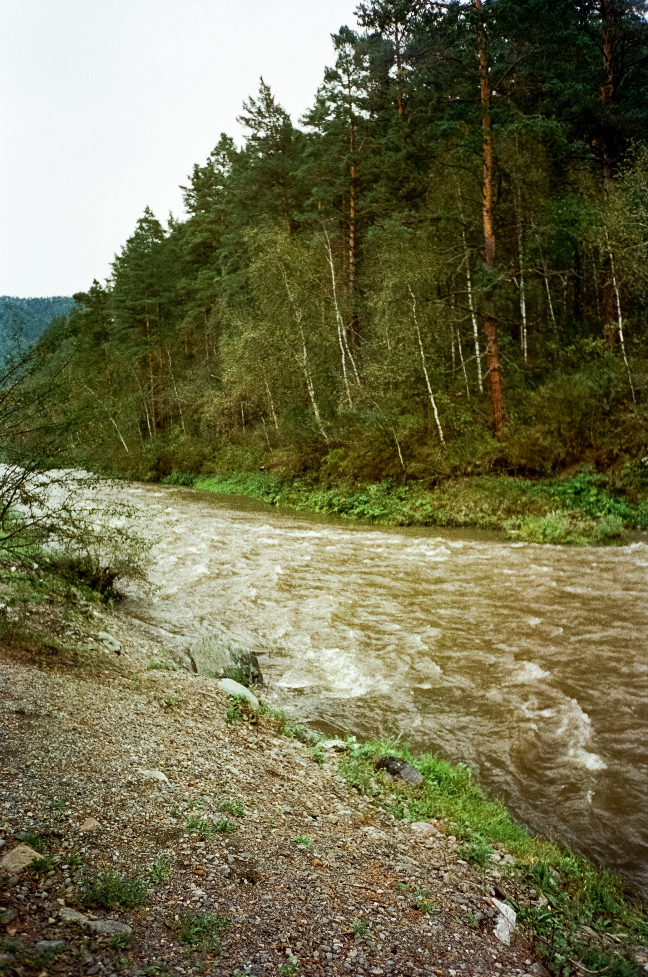 Дождливая осень. От Чемала до Берендеевки. Фотограф-документалист Мария Осокина