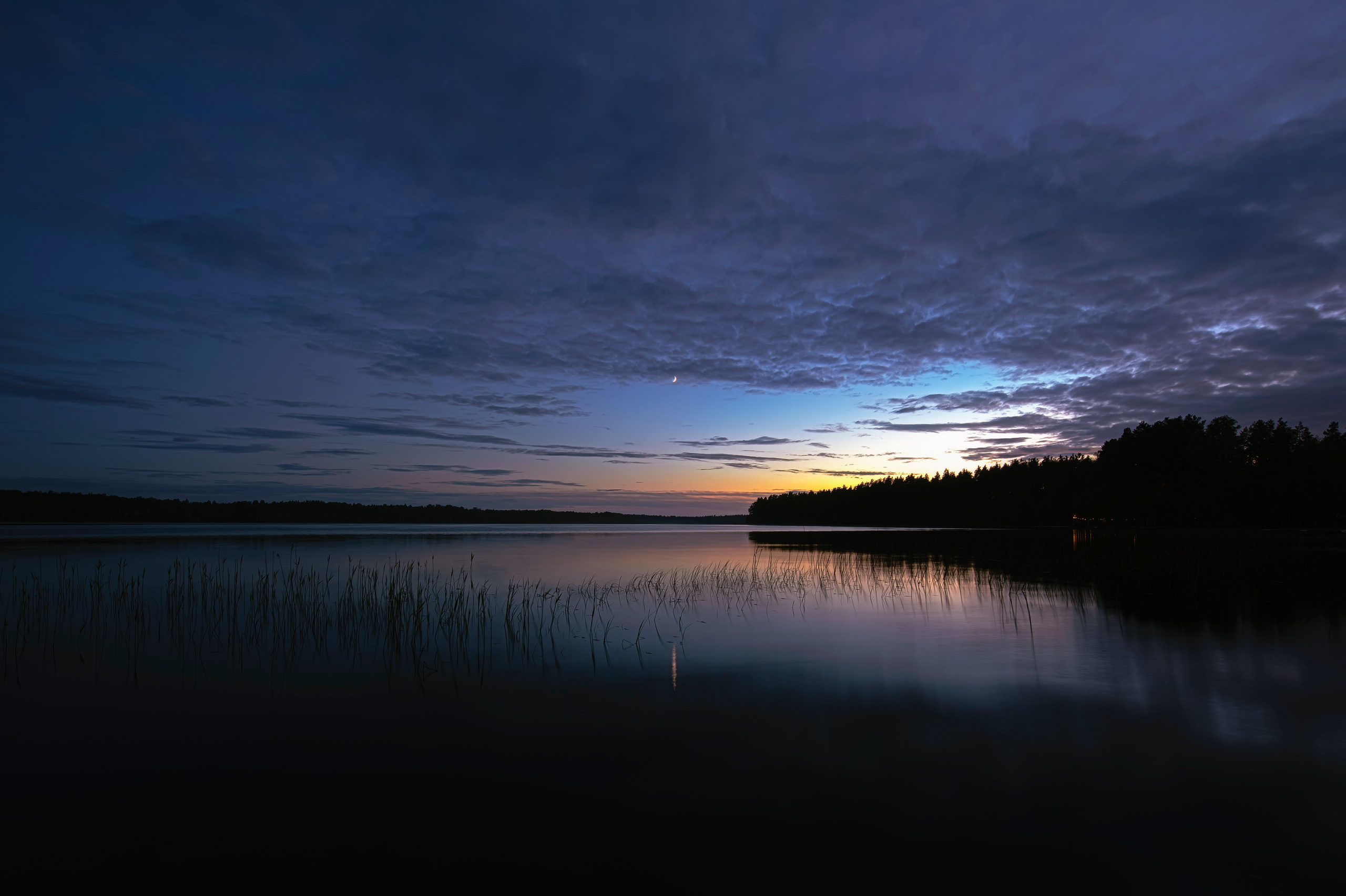 ПРИРОДА. От прошлого к будущему авиации через фотографию