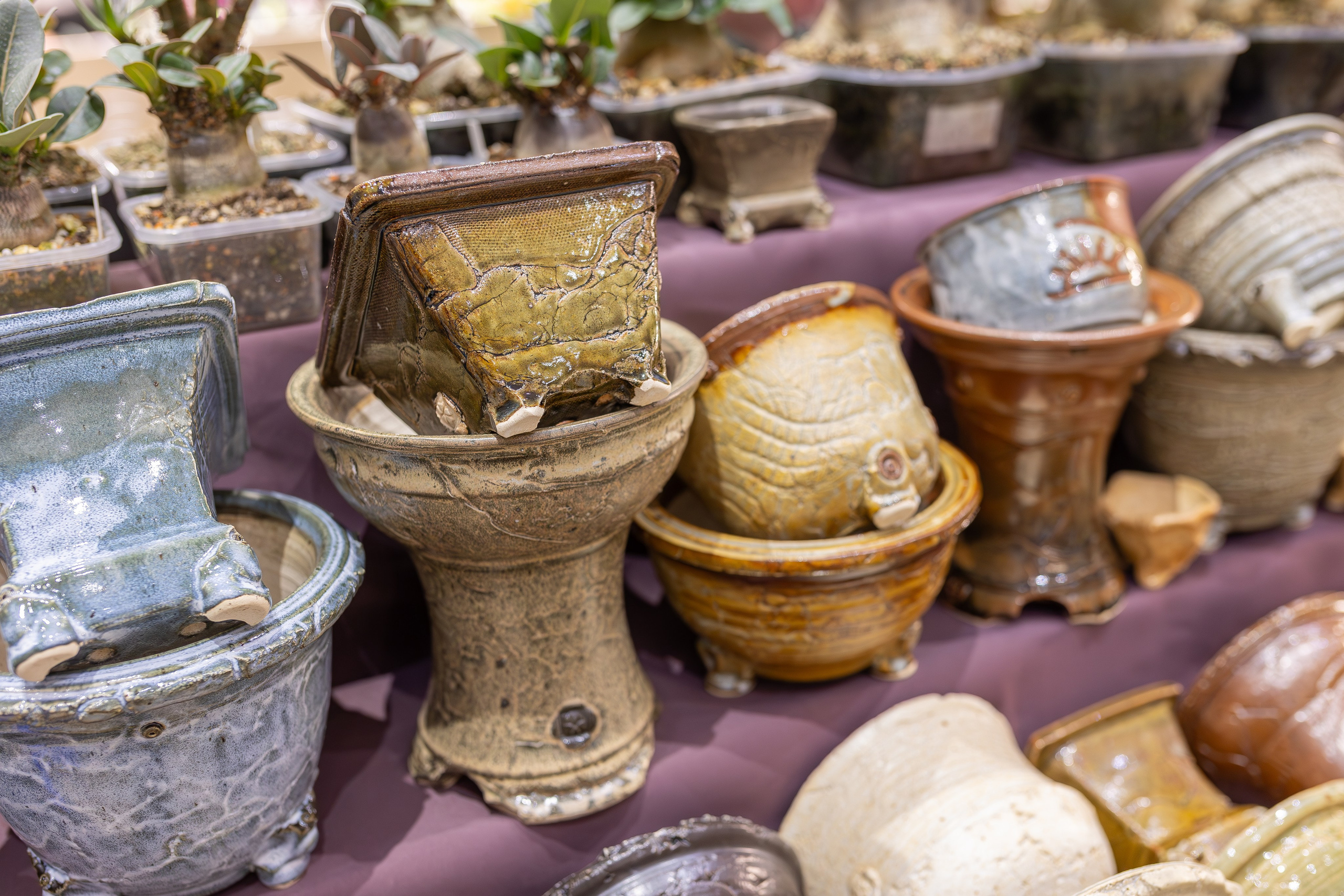 Монстериум апрель 2026. Александра Куликова фотограф, Москва