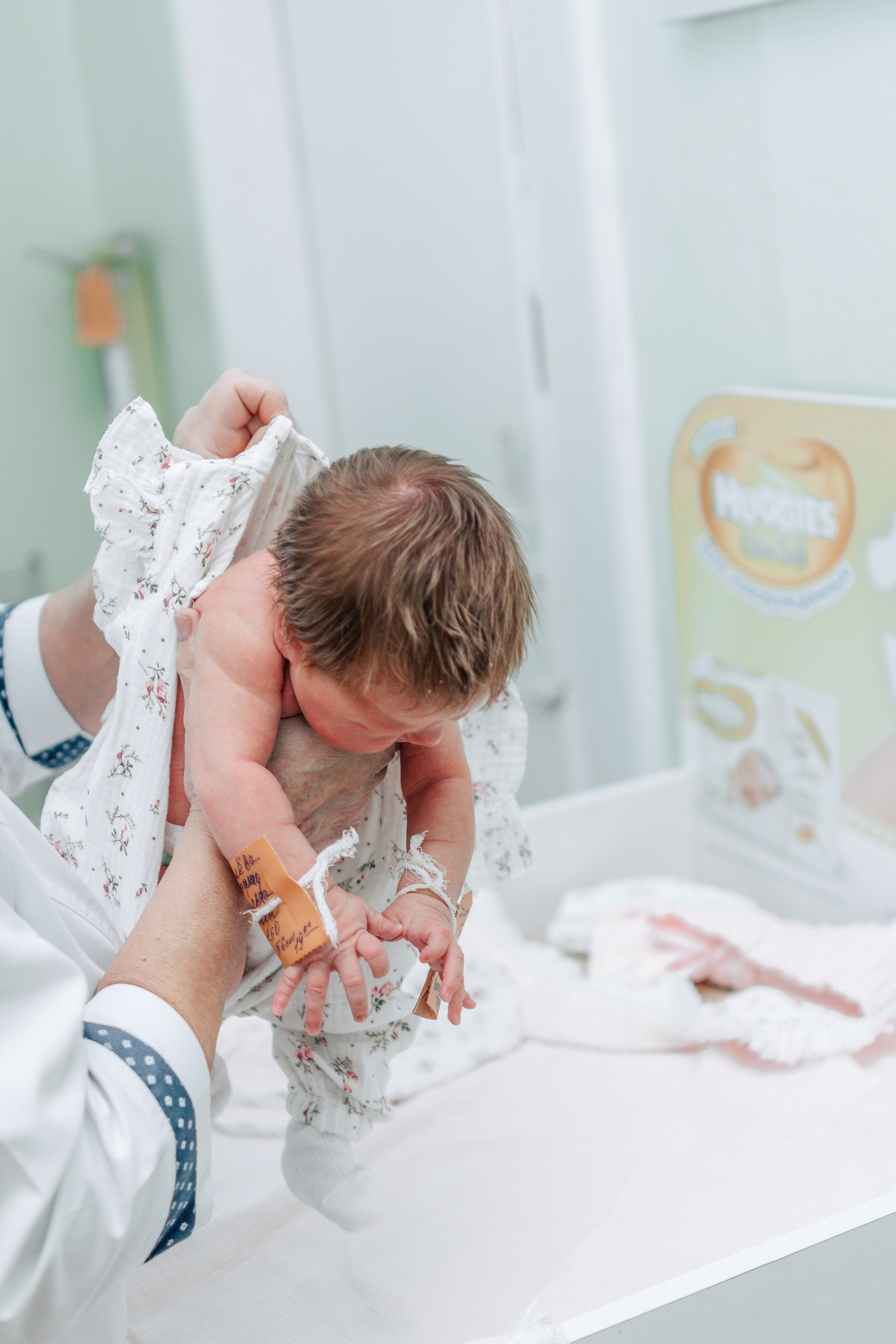 Выписка из РОДДОМА