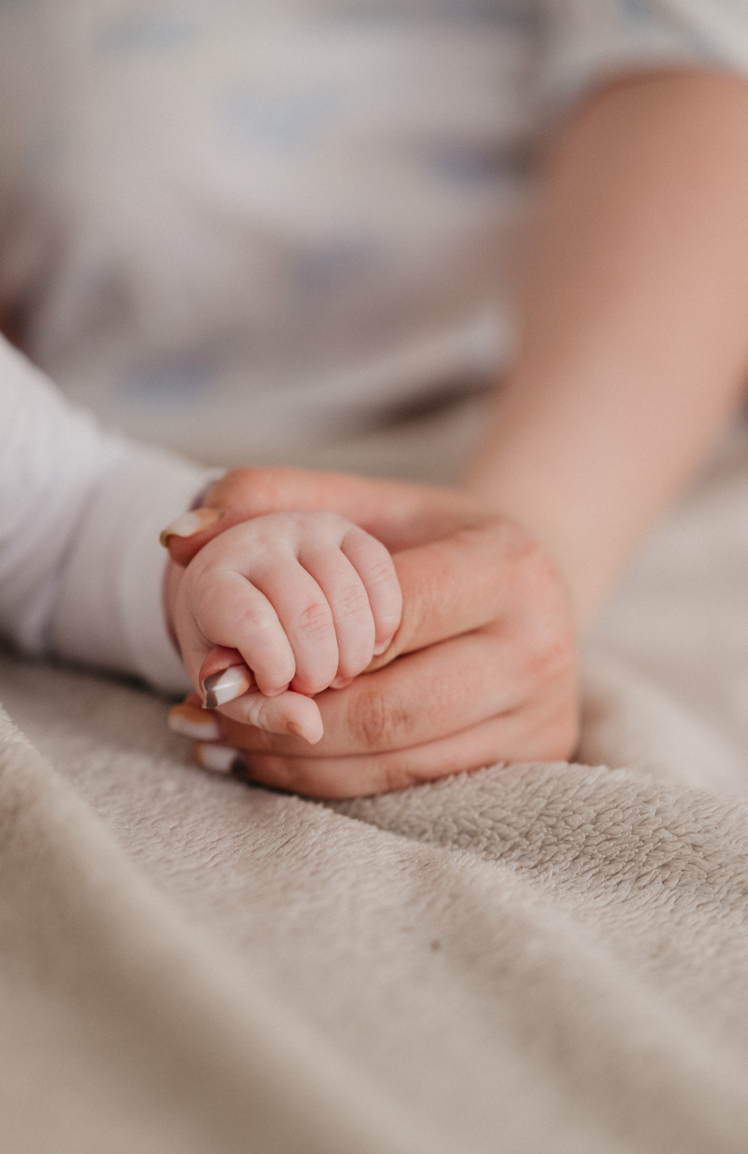 Alina & Miron. Ваш свадебный и семейный фотограф