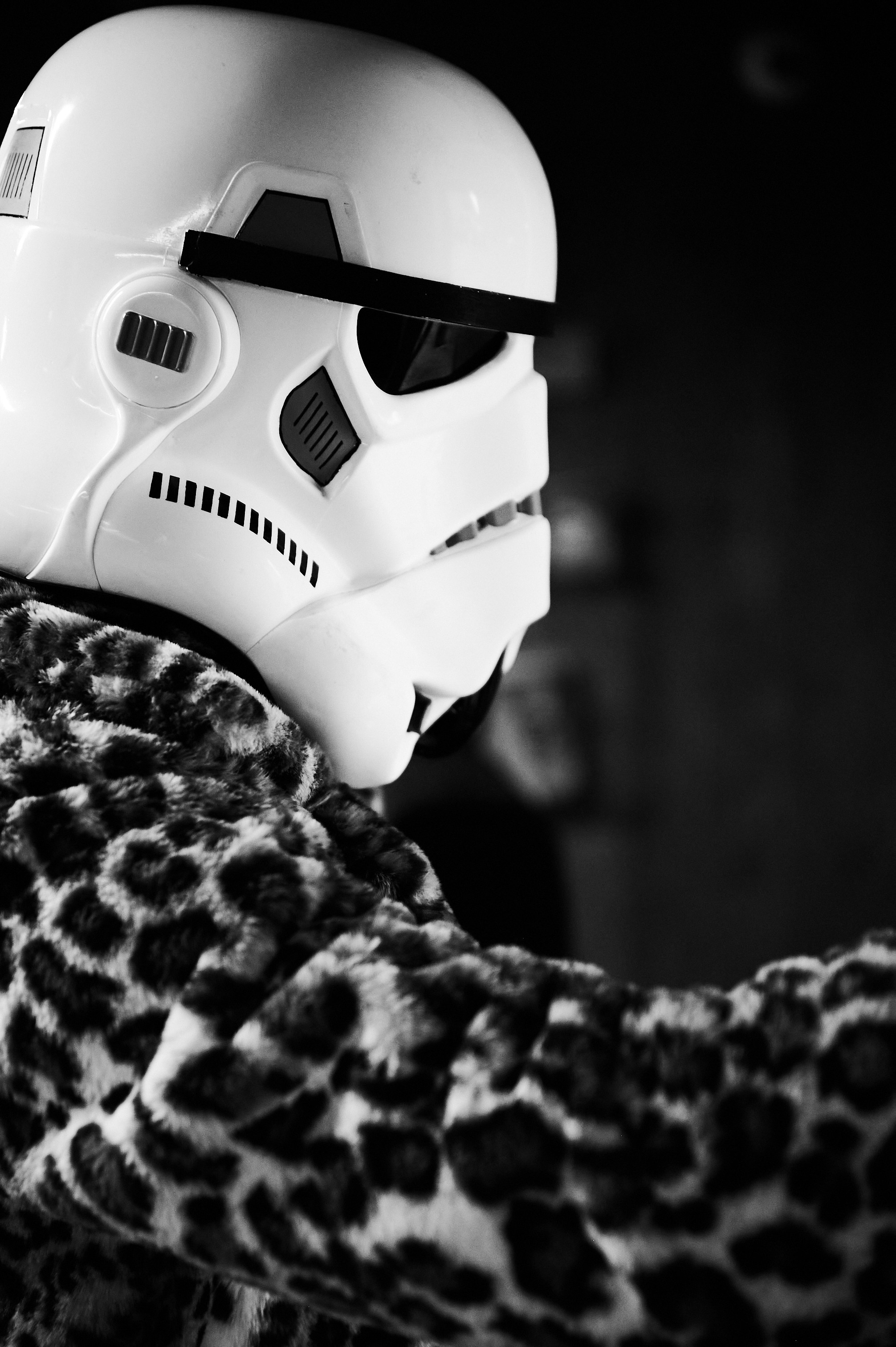 StarWar. Фотограф Максим Маркелов