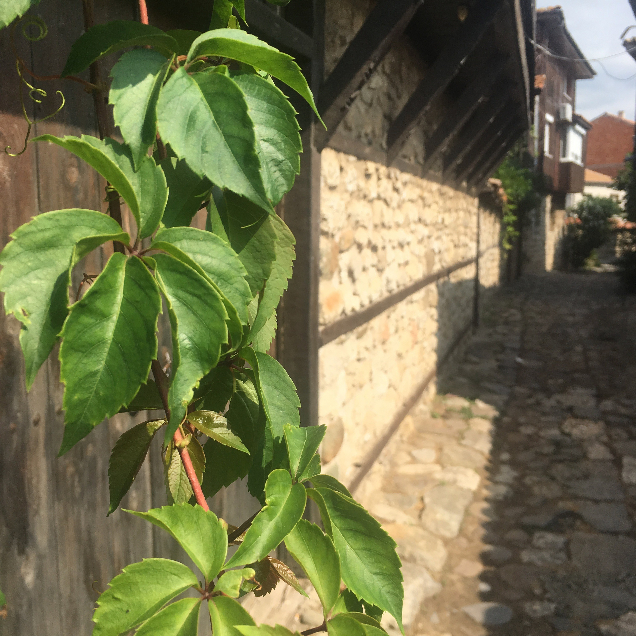 Несебр-19. Своя Мастерская