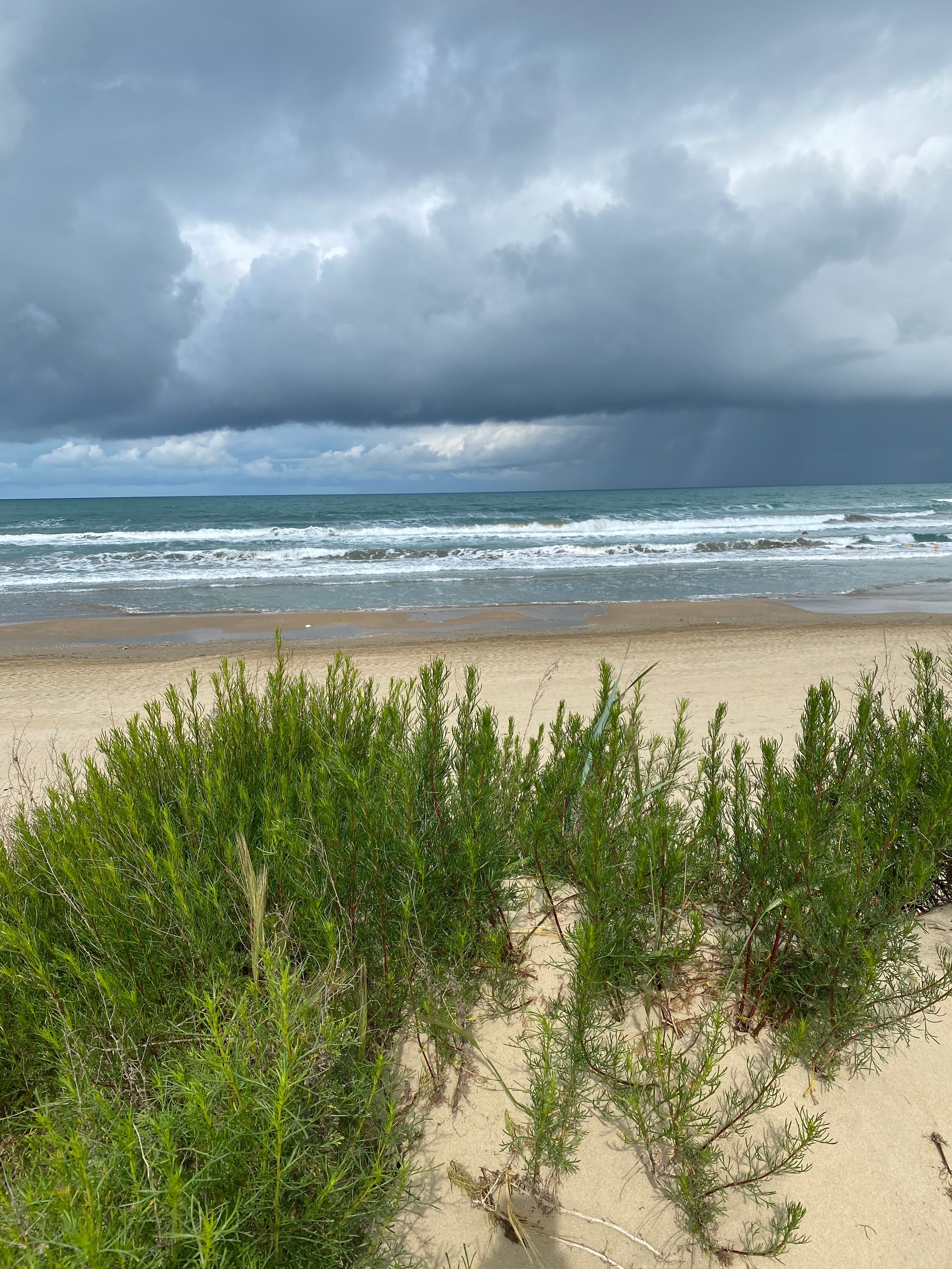 Анапа — 21. Своя Мастерская