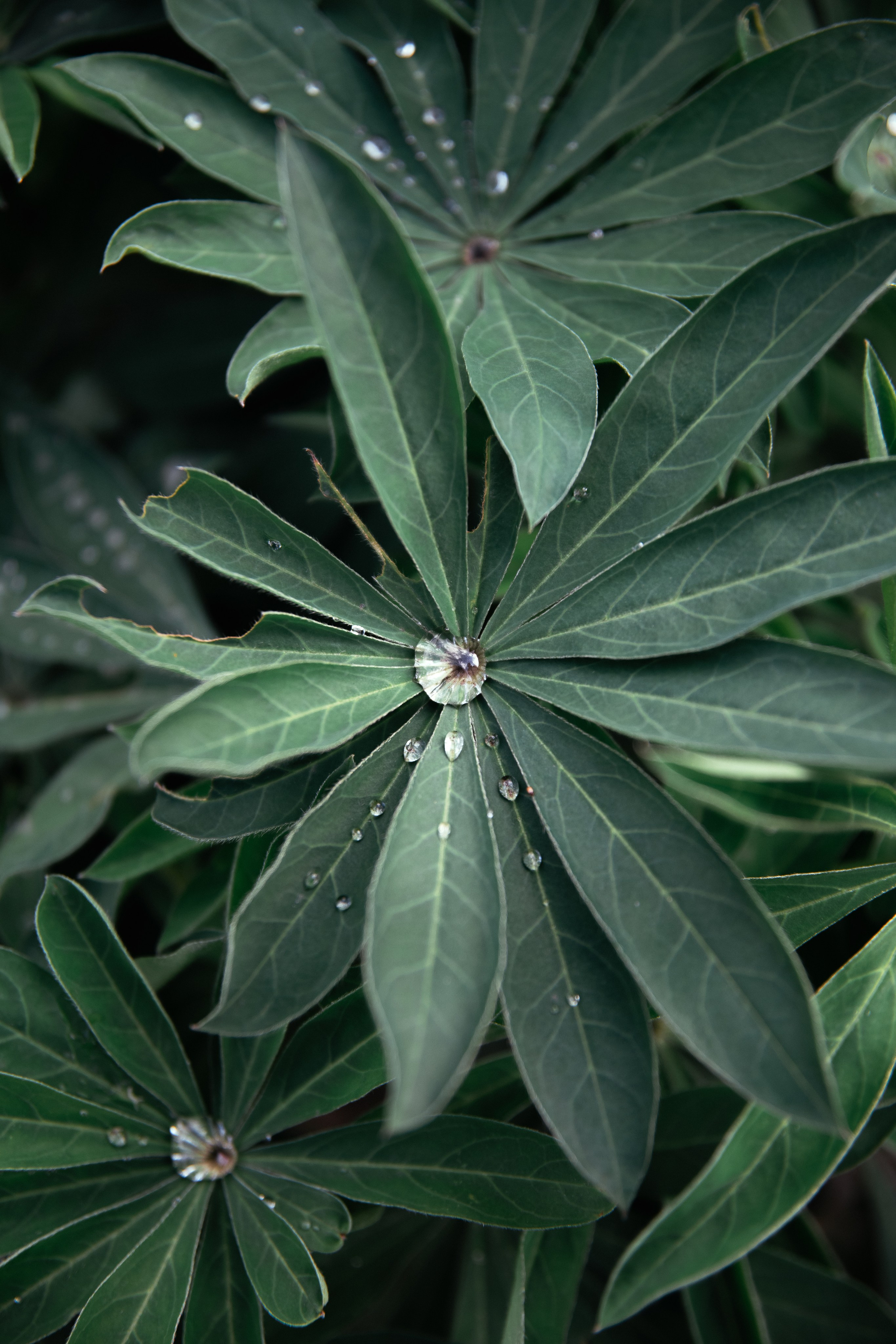 Храм Святого мученика Иоанна Воина. Антон Непочатых — Большой мужской фотограф
