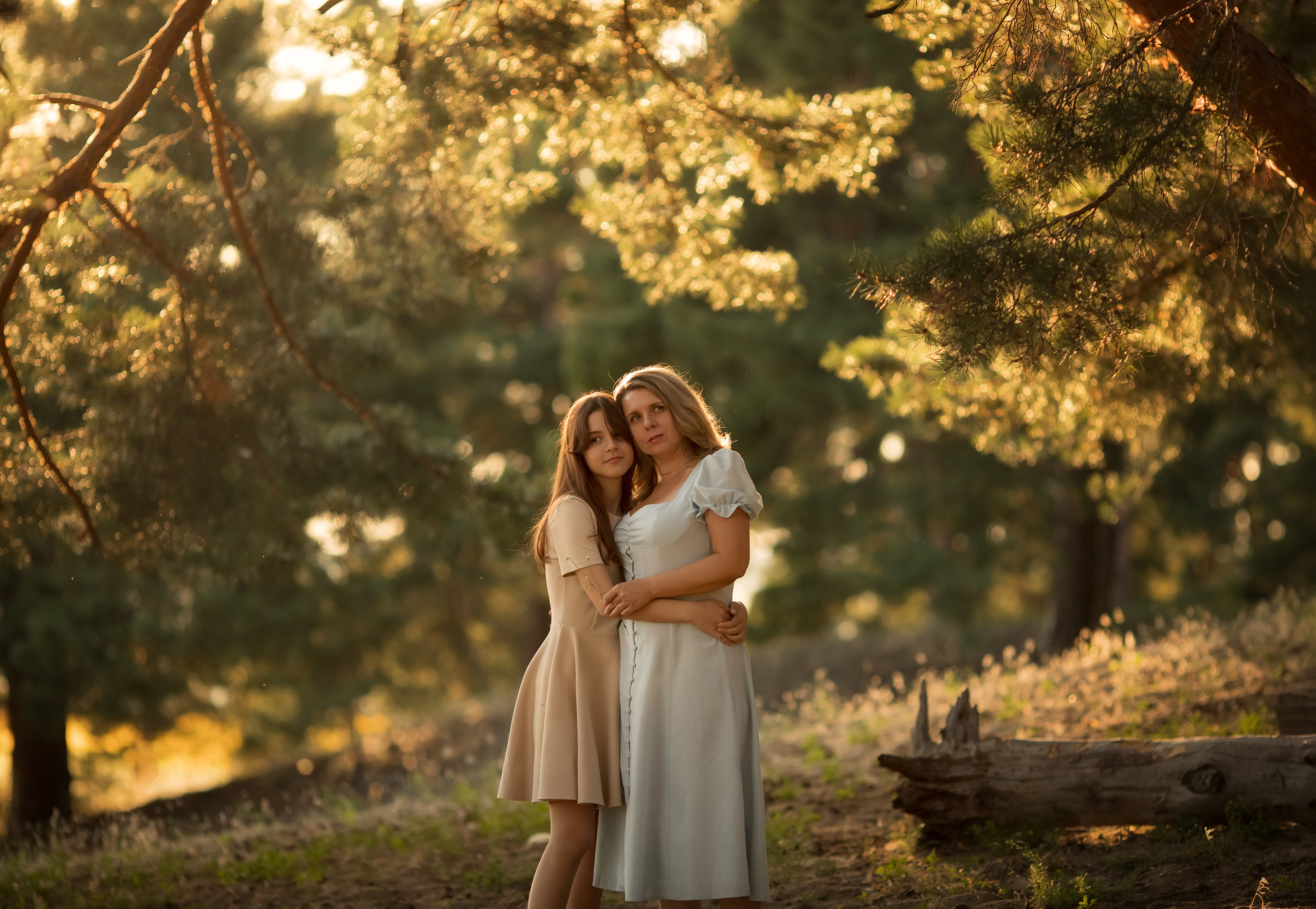 В солнечном лесу. Семейный и детский фотограф в Саратове Полина Коткина