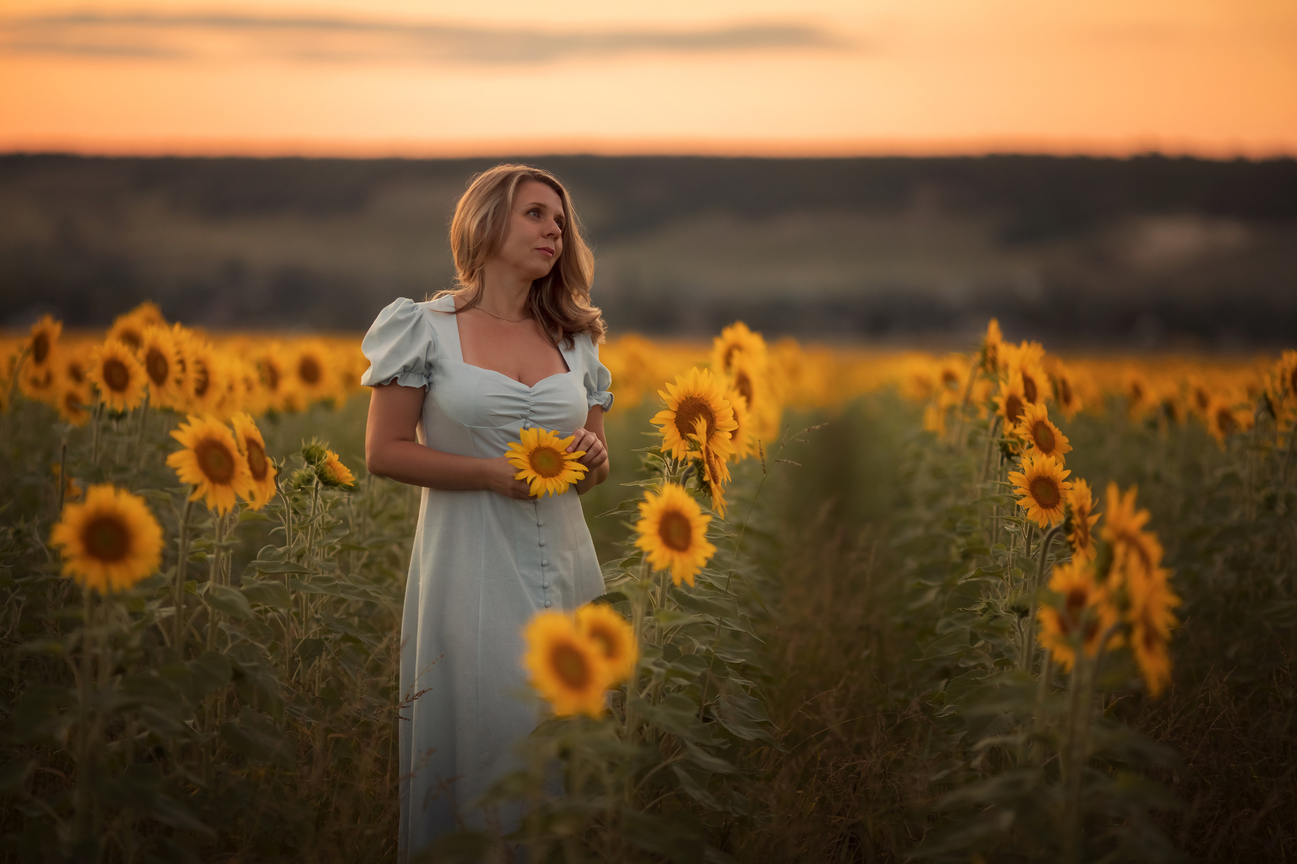 В солнечном лесу. Семейный и детский фотограф в Саратове Полина Коткина