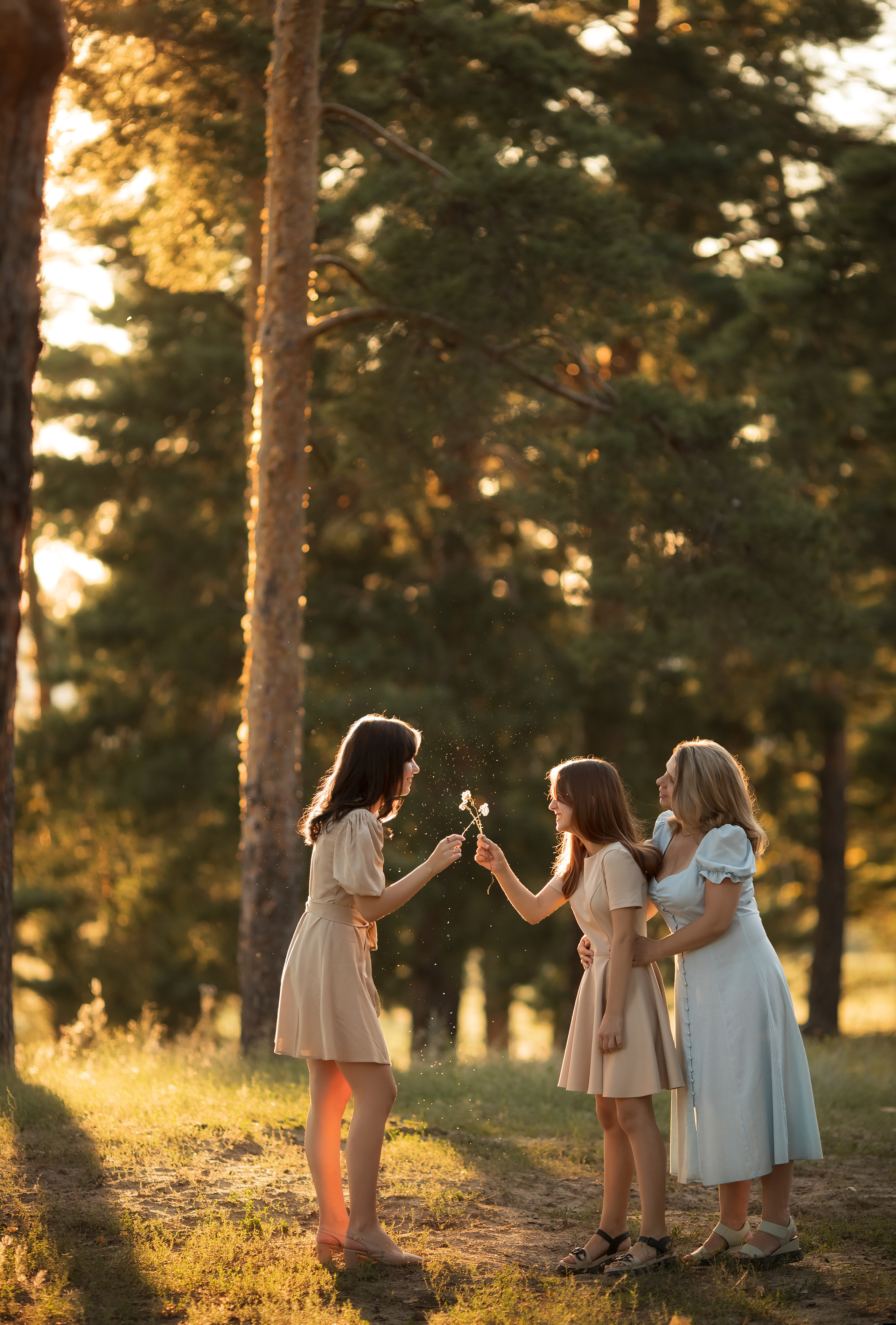 В солнечном лесу. Семейный и детский фотограф в Саратове Полина Коткина