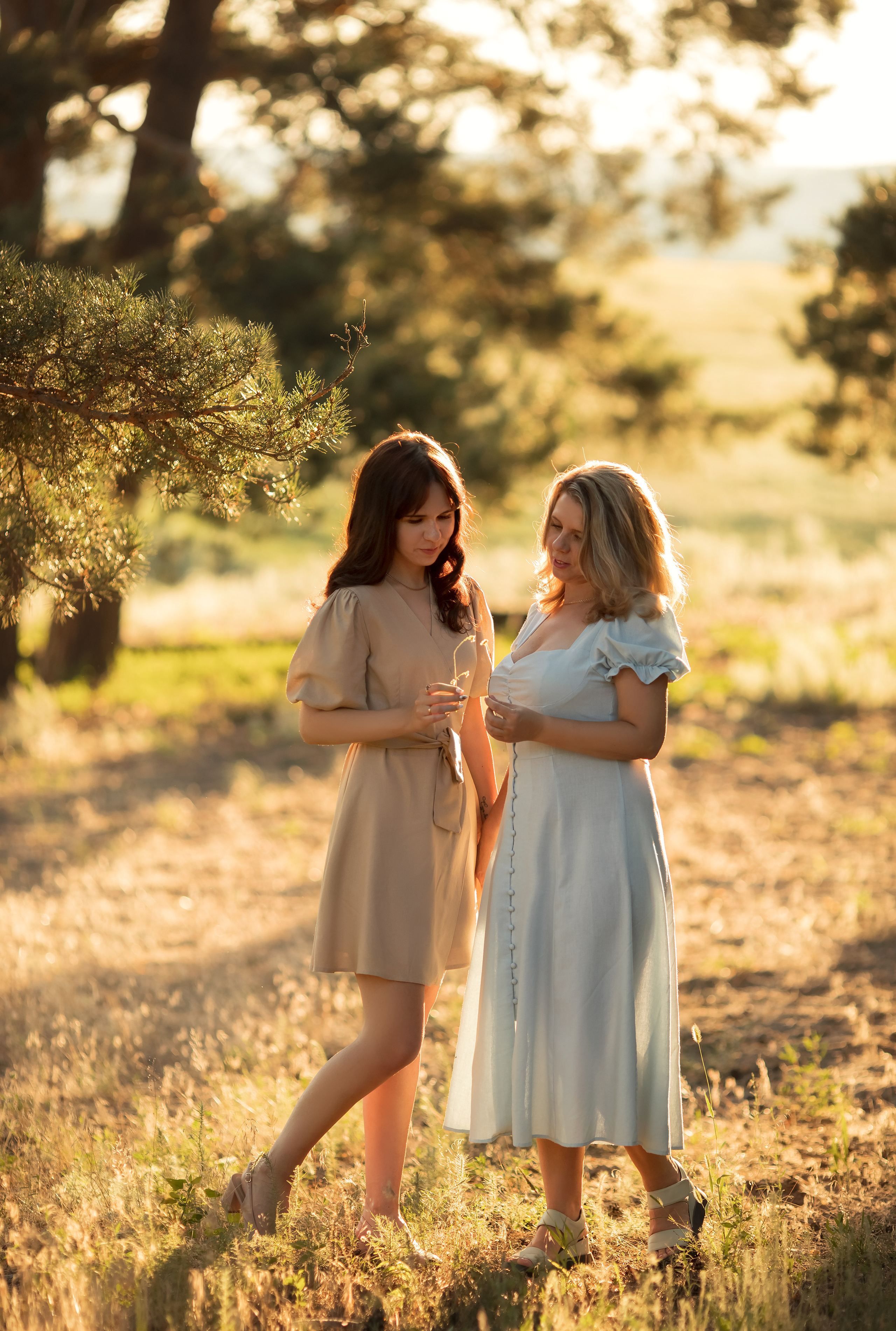 В солнечном лесу. Семейный и детский фотограф в Саратове Полина Коткина