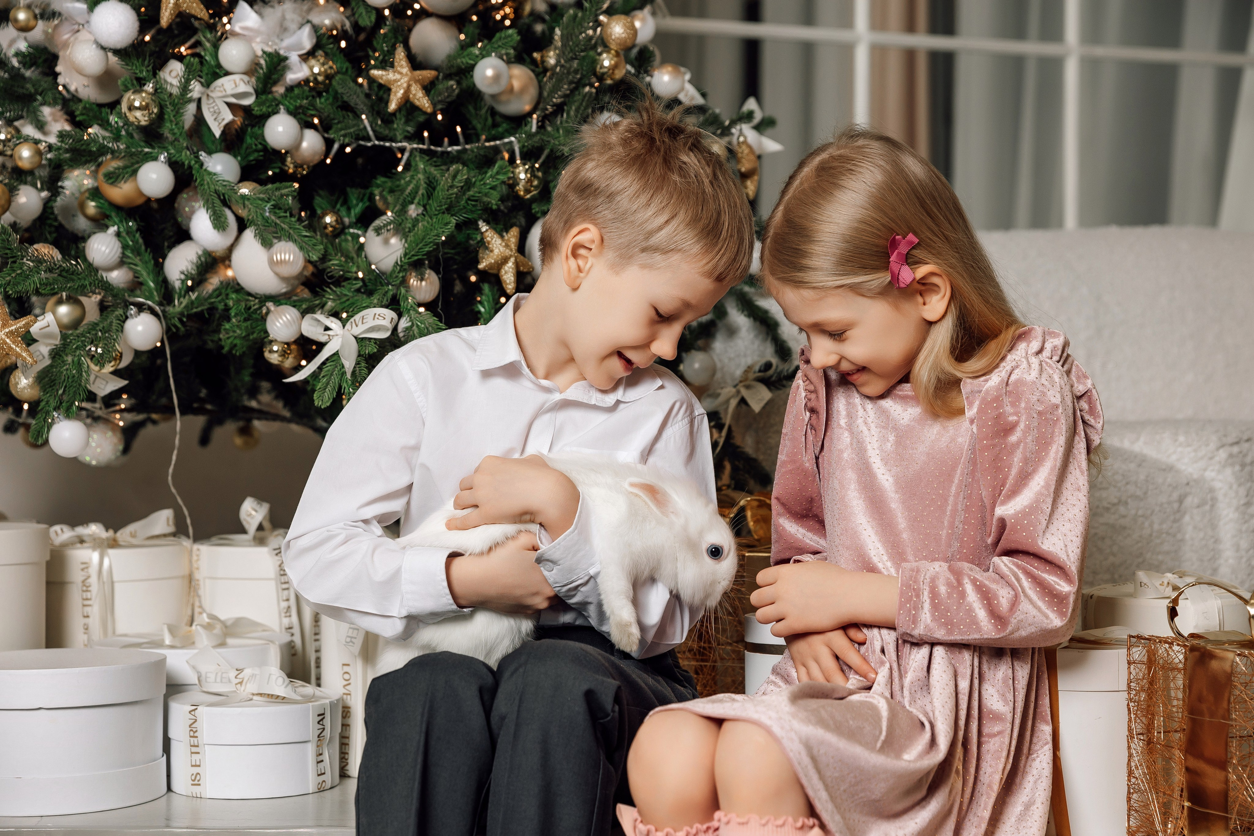 СЕМЬИ. Свадебный фотограф Санкт-Петербург Катерина Ширяева