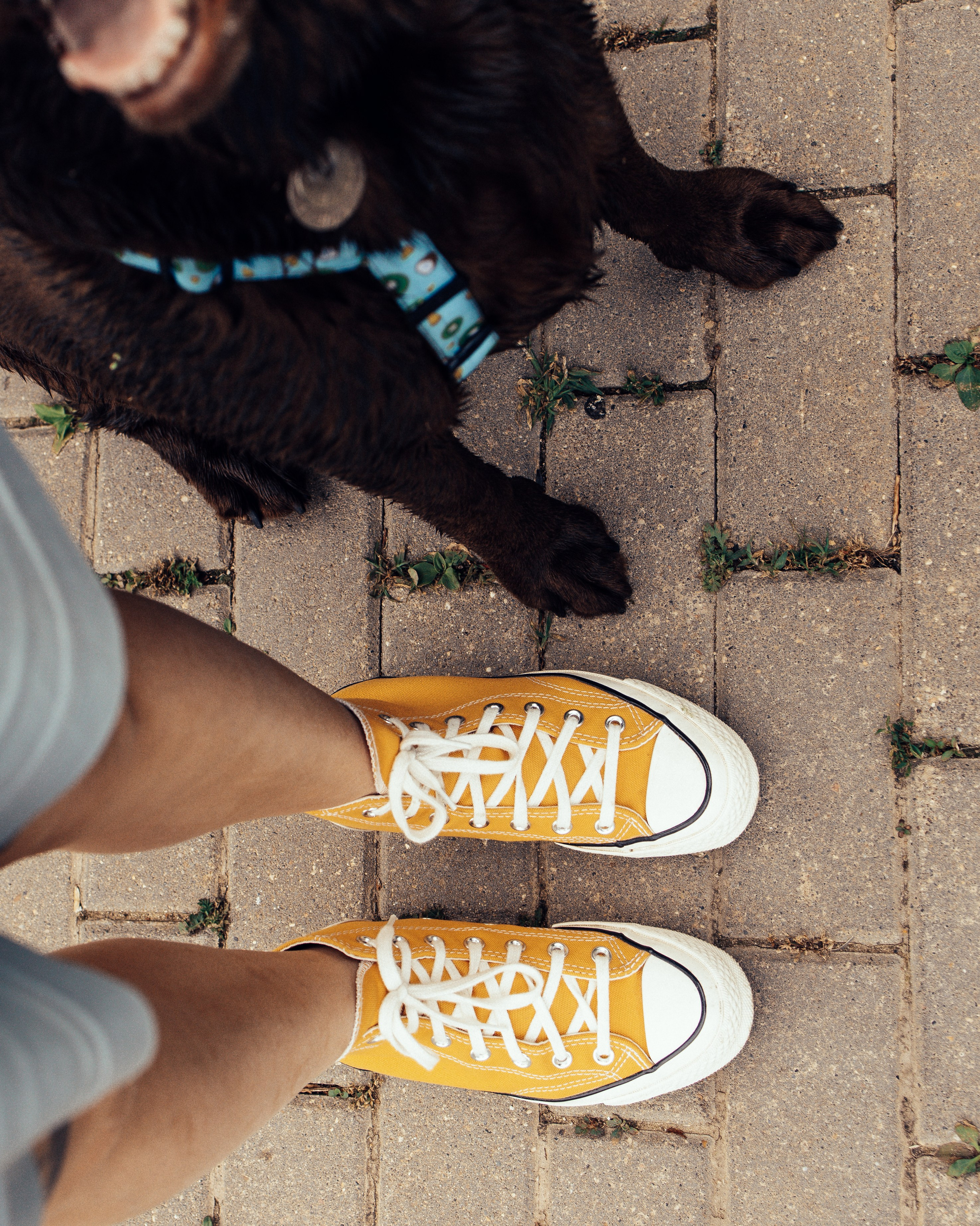 Вальда и Настя. Анна Самохина. Фотограф. Москва