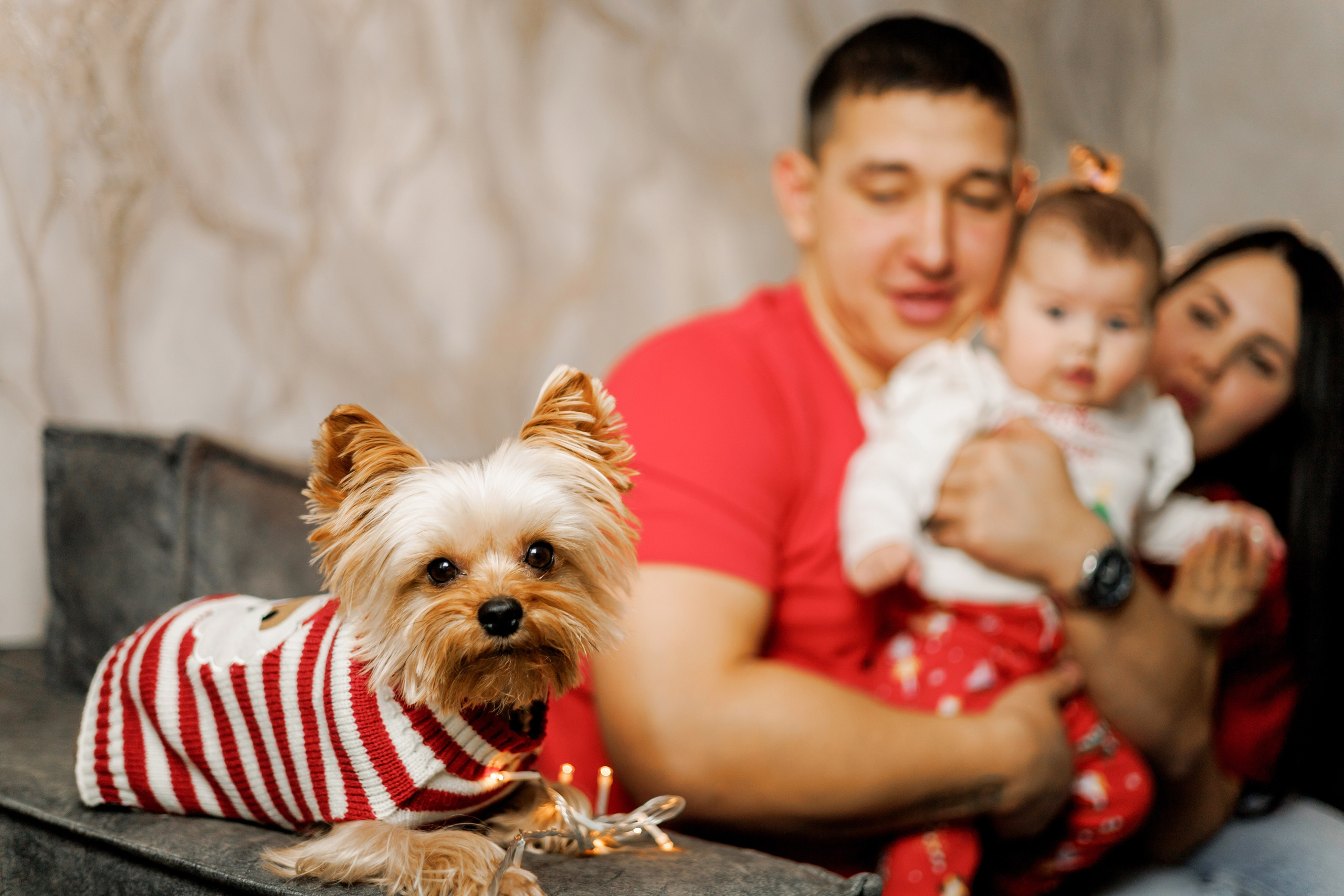 🤍. Детский и семейный фотограф  Биробиджан Оля Светагор