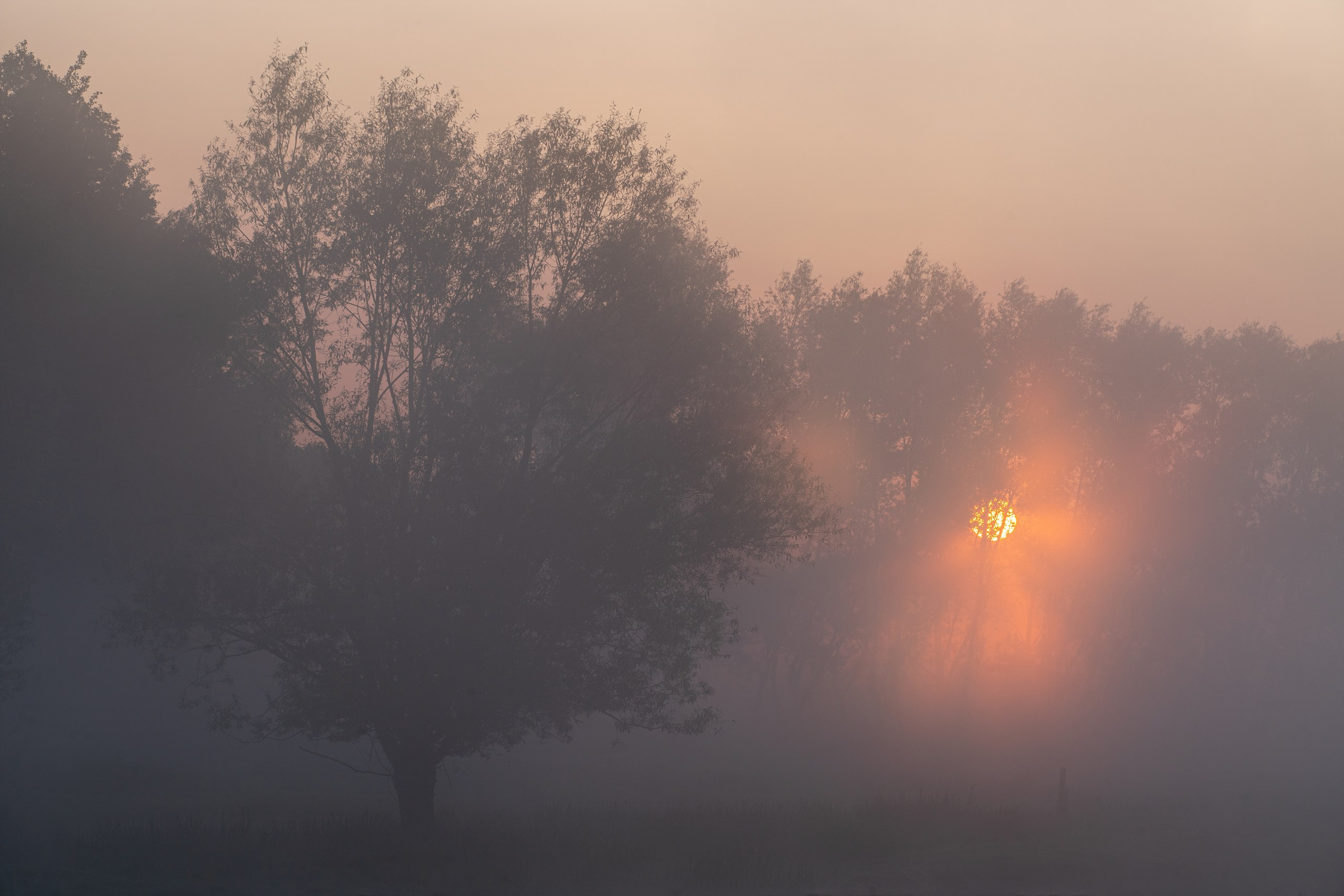 Золотое кольцо. Фотограф в Красноярске Нерозя Александр. Пейзаж, природа, портрет