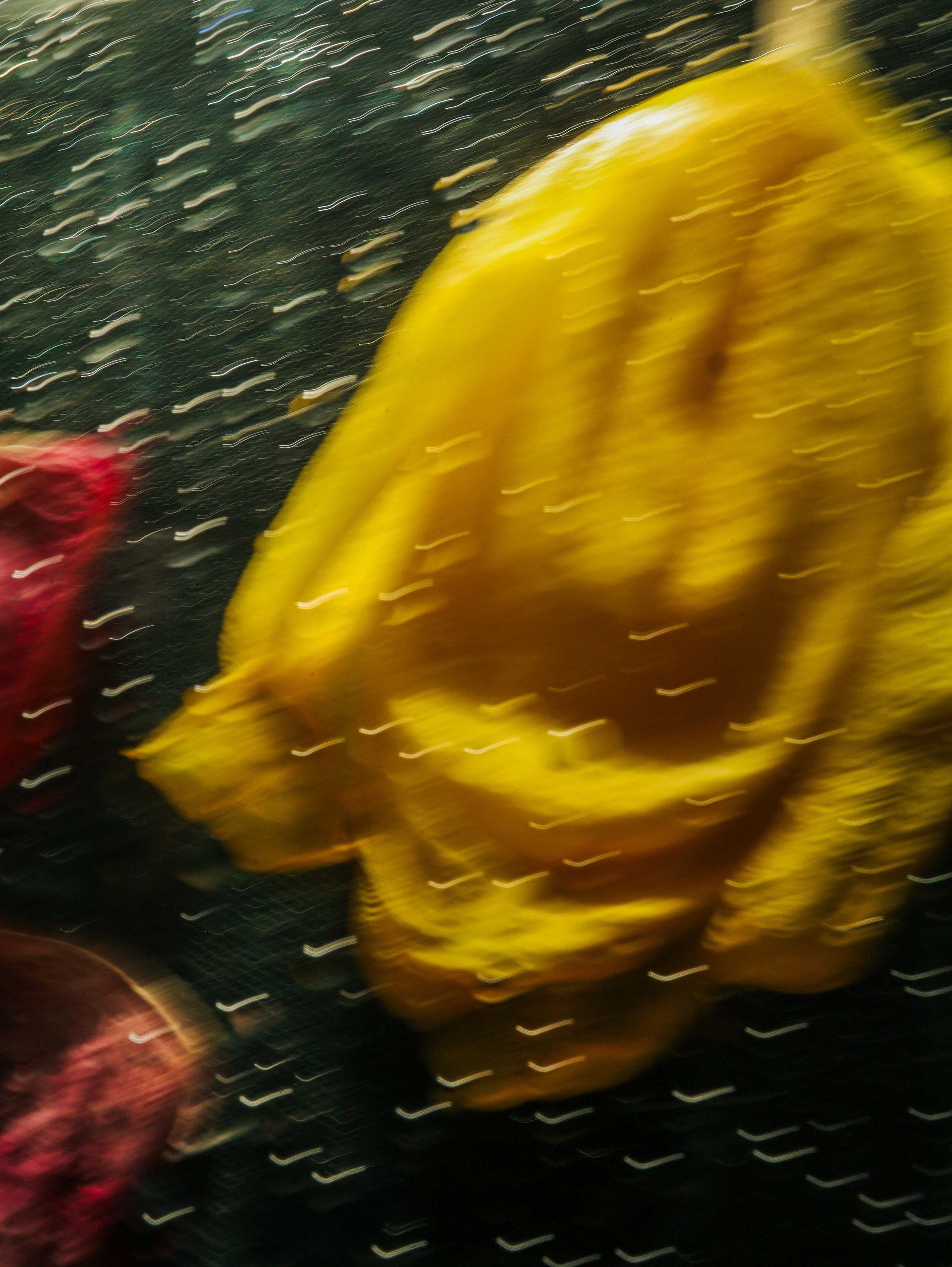 Природа &. Фотохудожник в СПб