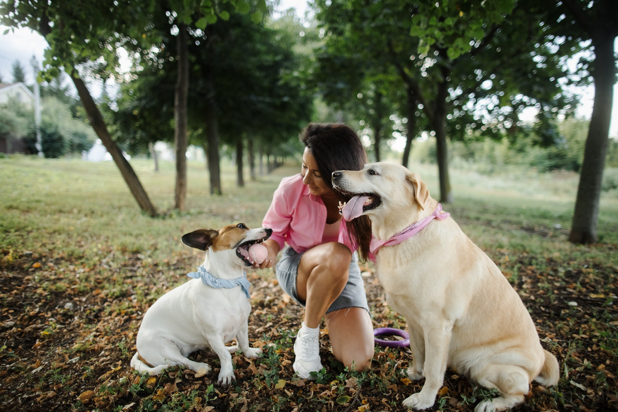 Счастье на четырёх лапах. Маргарита Рубцова свадебный фотограф Тольятти