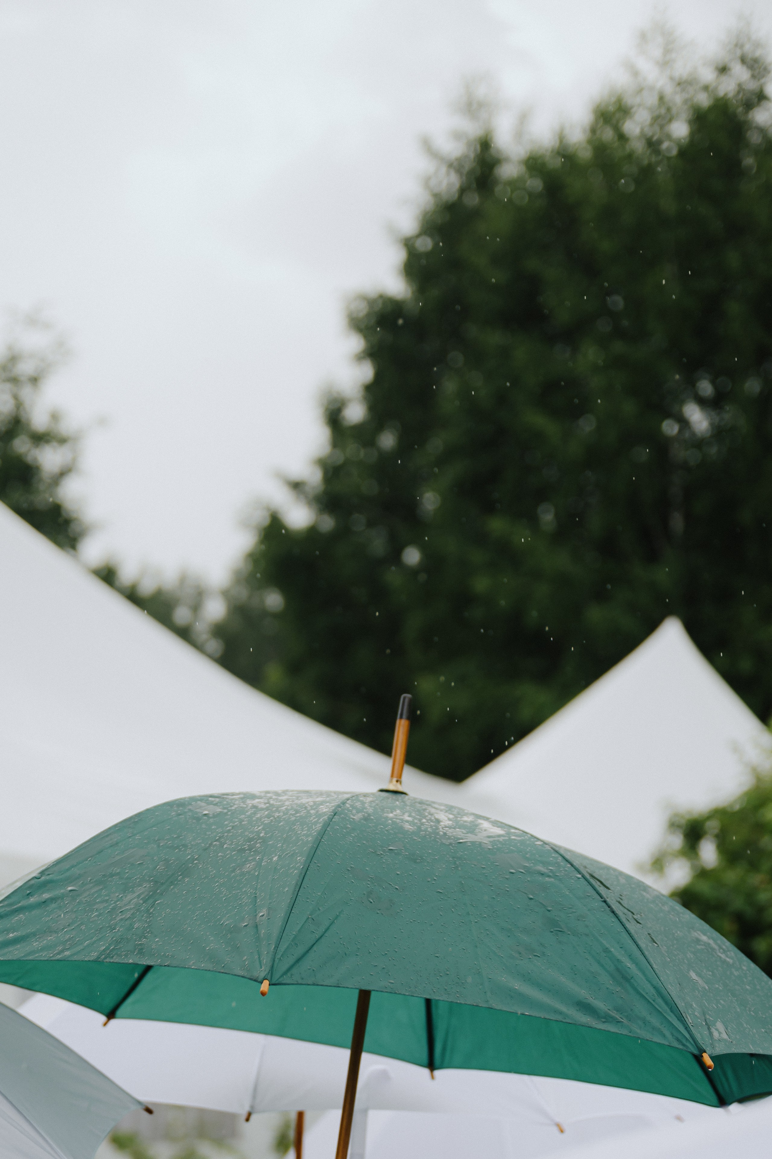 Полина & Владимир, Сагитариус