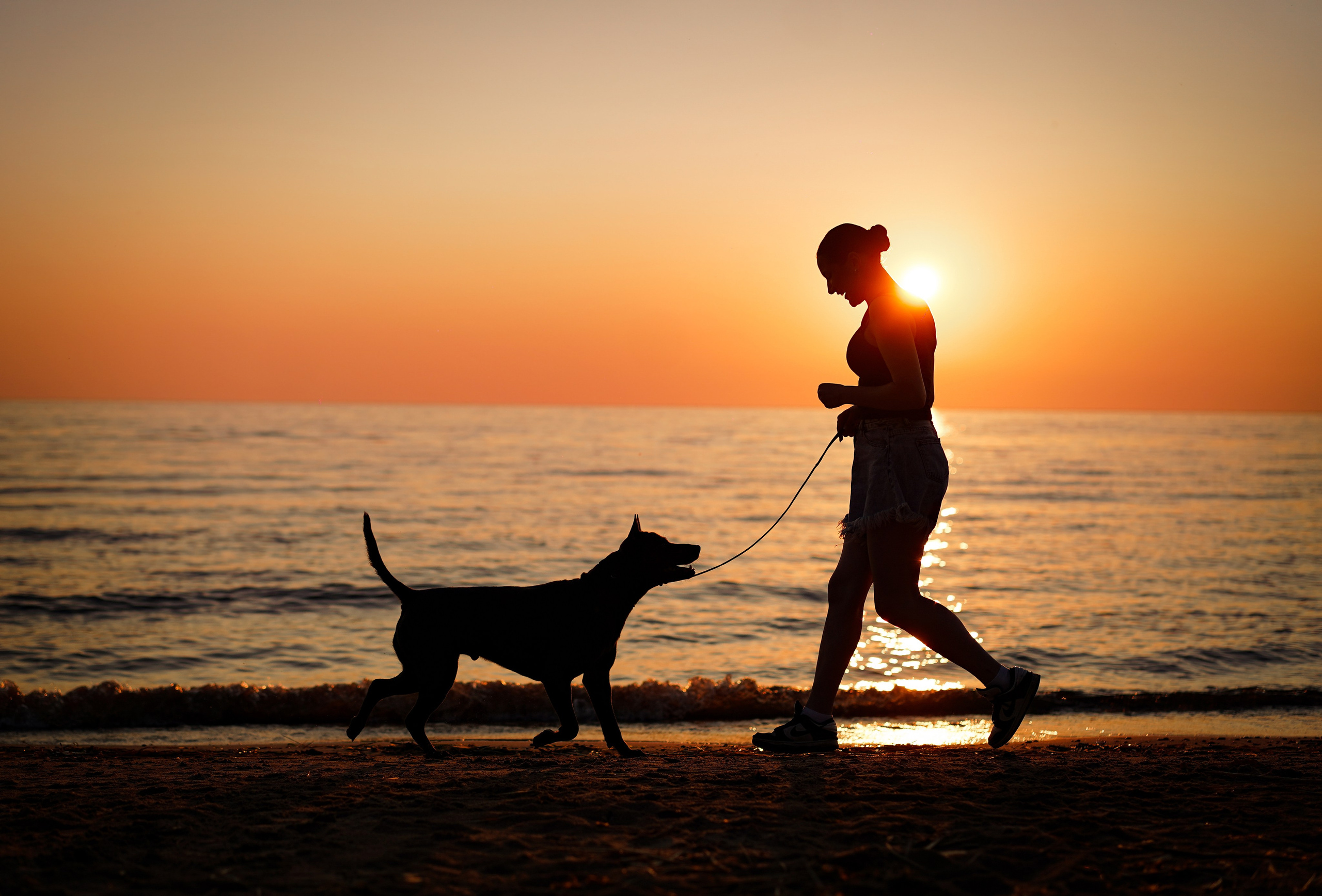 Вероника и Адам. Фотограф-анималист в Санкт-Петербурге Яна Мартынова