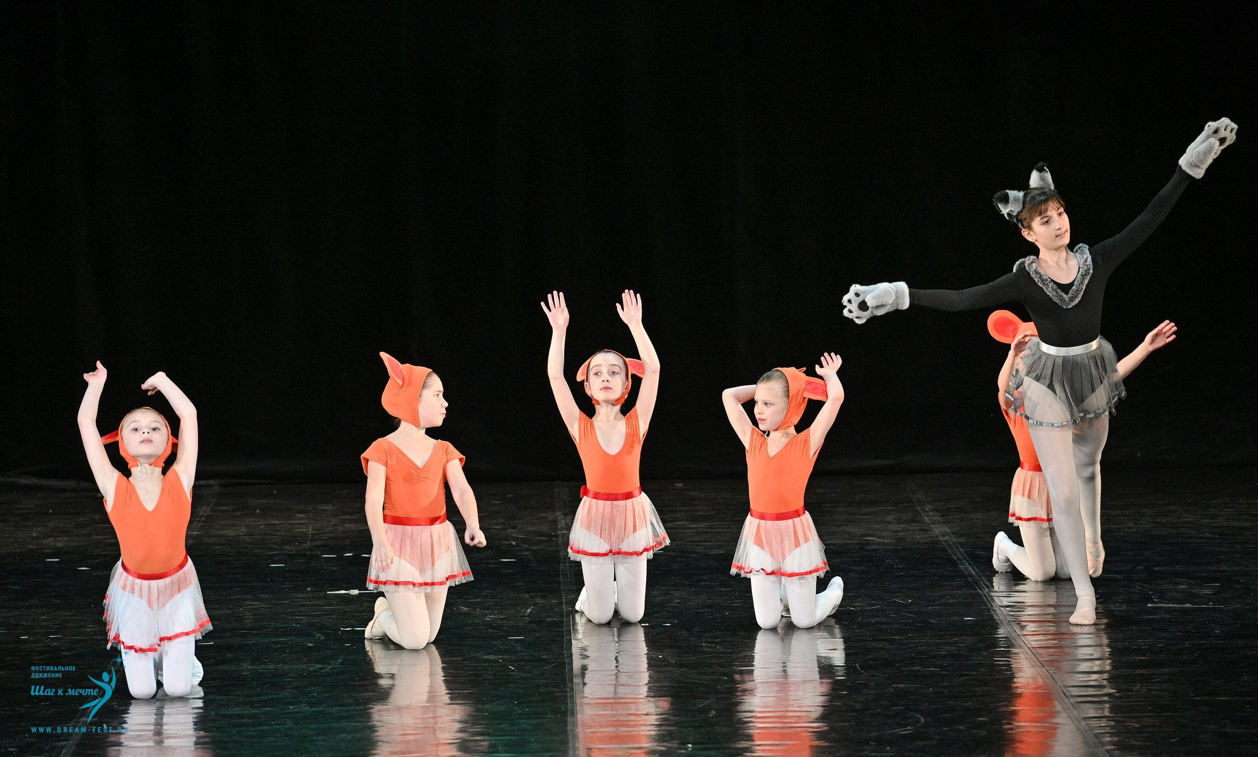 08.02.2025 Фестиваль-конкурс «Диалог танца» | Фестивальное движение «Шаг к мечте». Медиастудия Фото Концепт