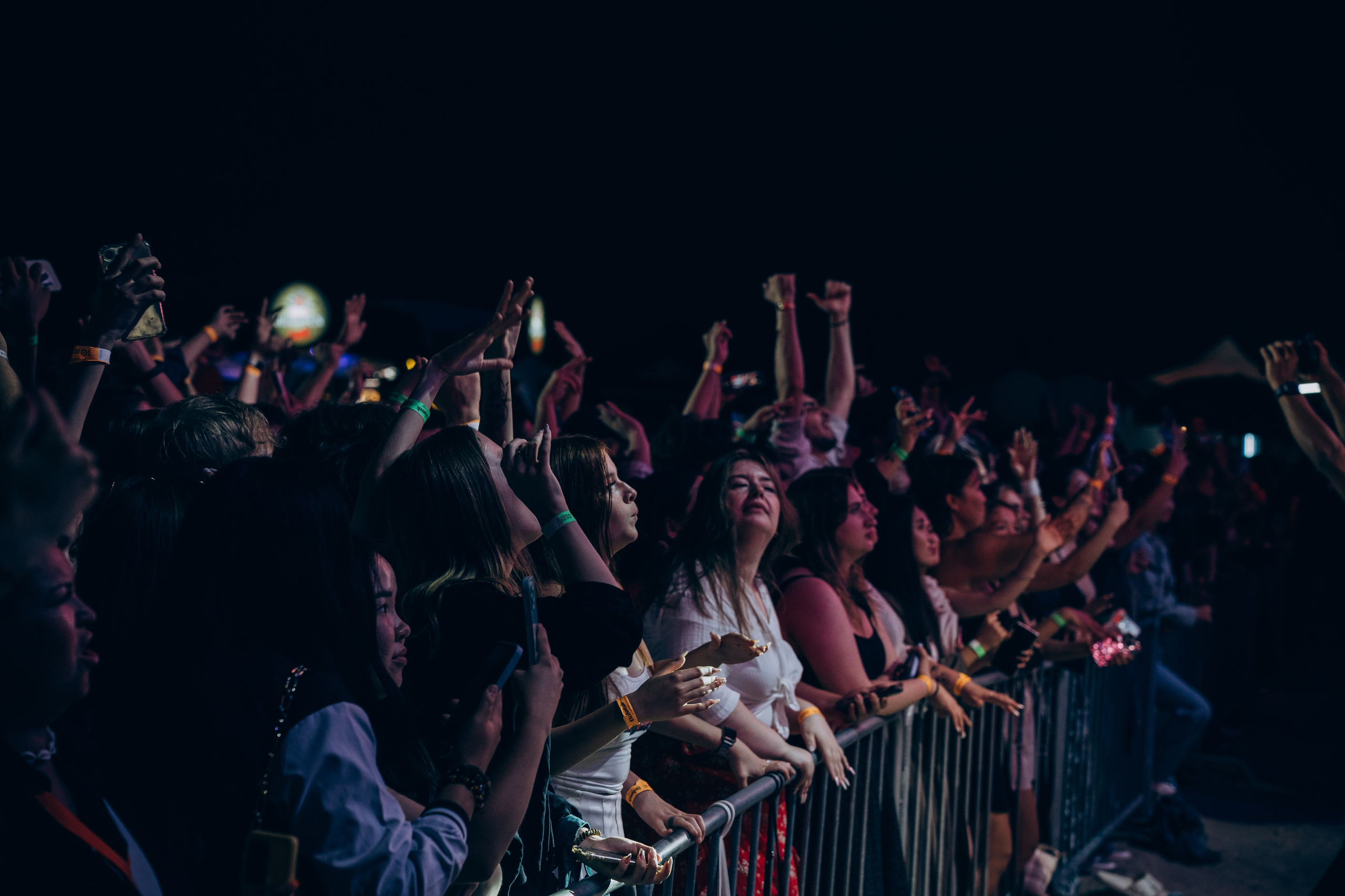 Picnic by partners. Главная
