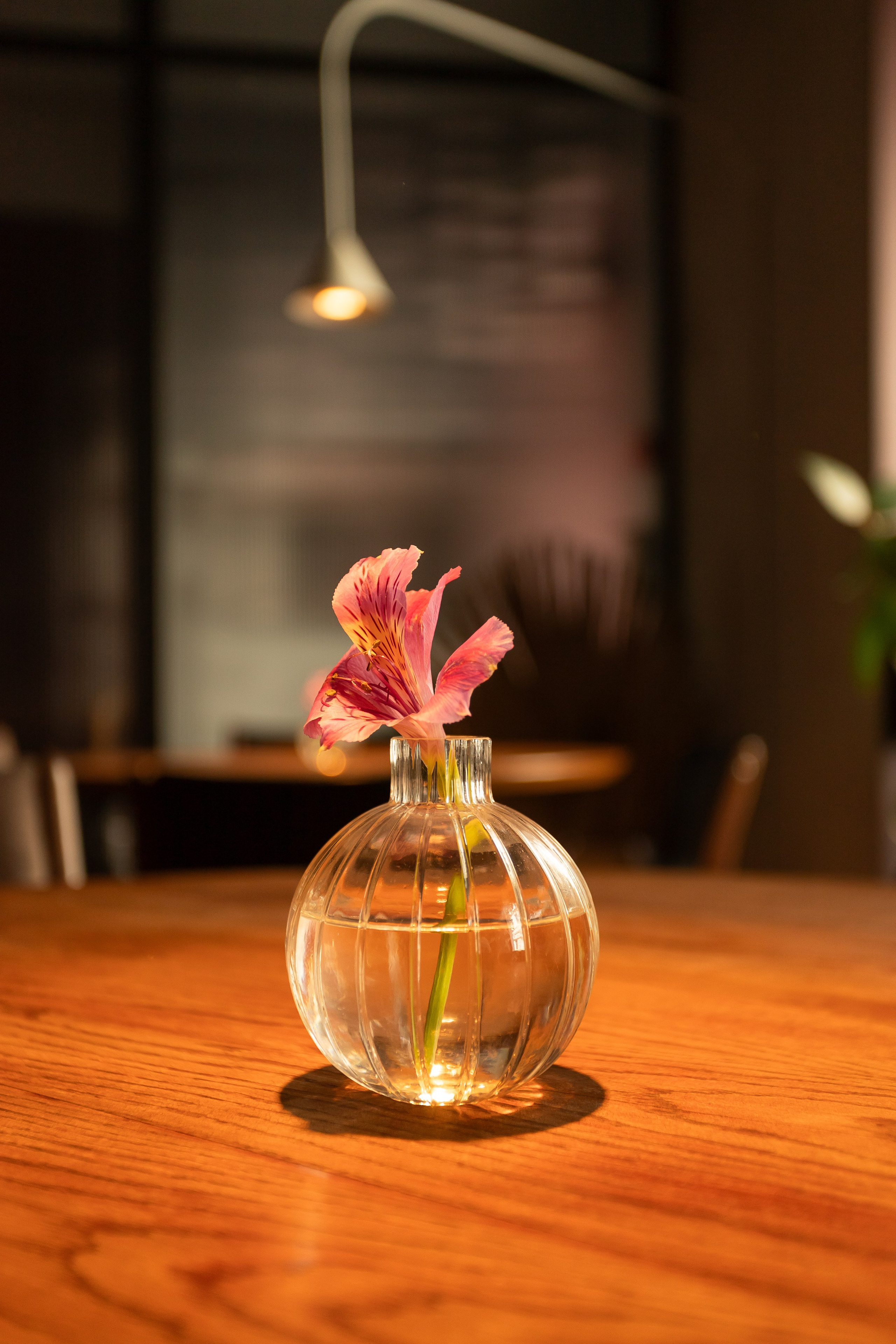 Gills — ресторан японской кухни. Фотограф Санкт-Петербург Александра Косенко