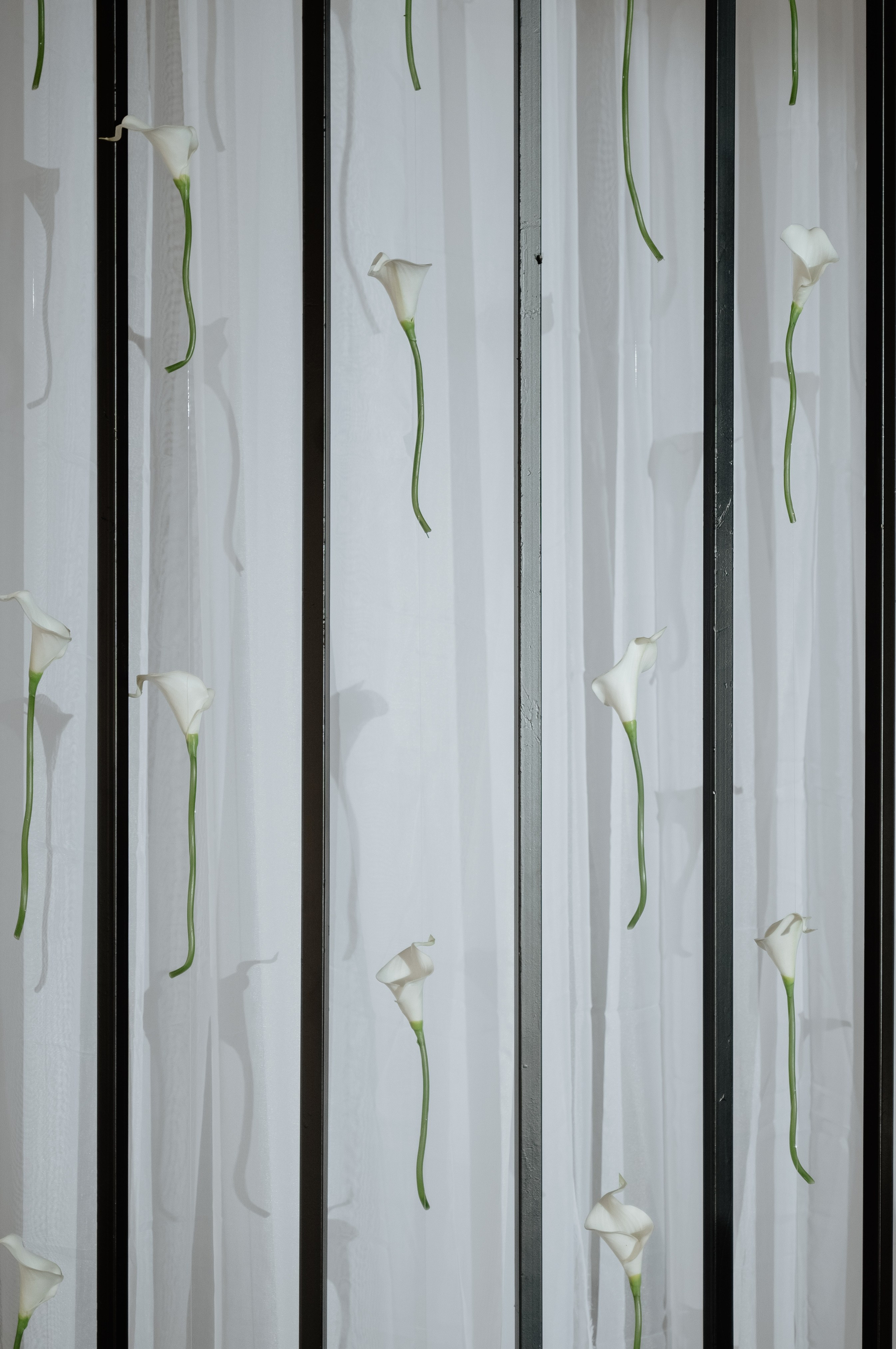 Михаил и Александра. Свадебный и портретный фотограф в Брянске и Москве Алина Химушкина