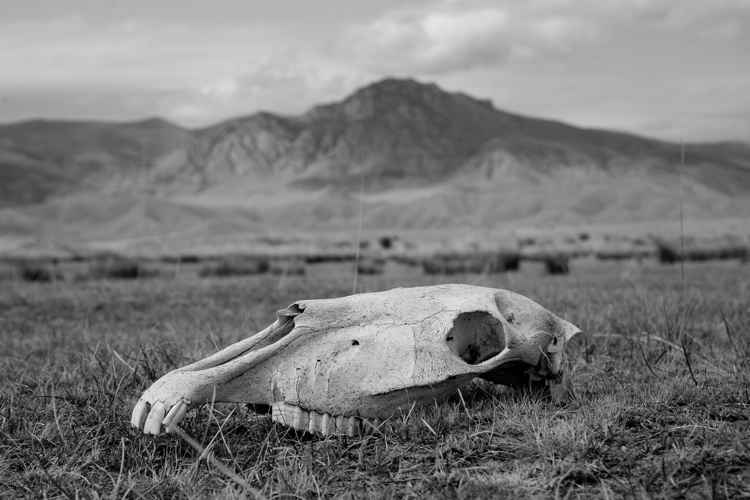Алдар. Легенда о любви