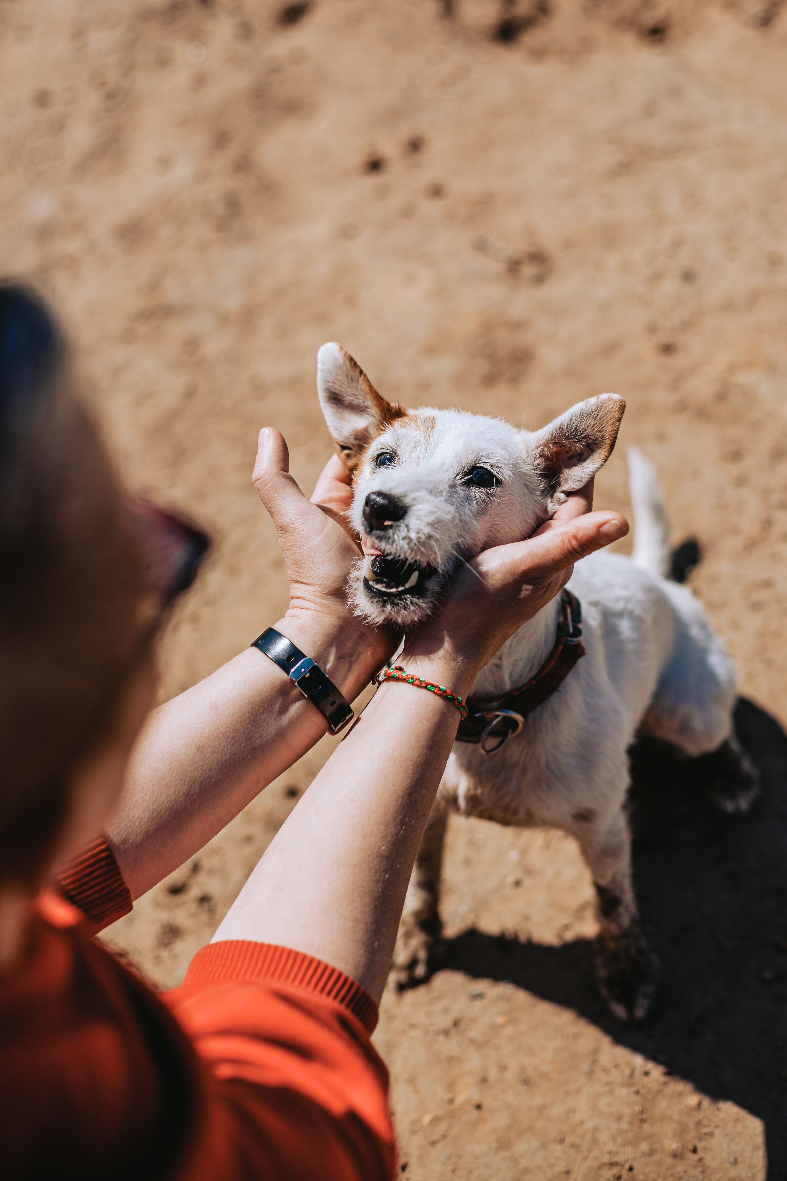 Кондуки. Фотограф-анималист Татьяна Степанова