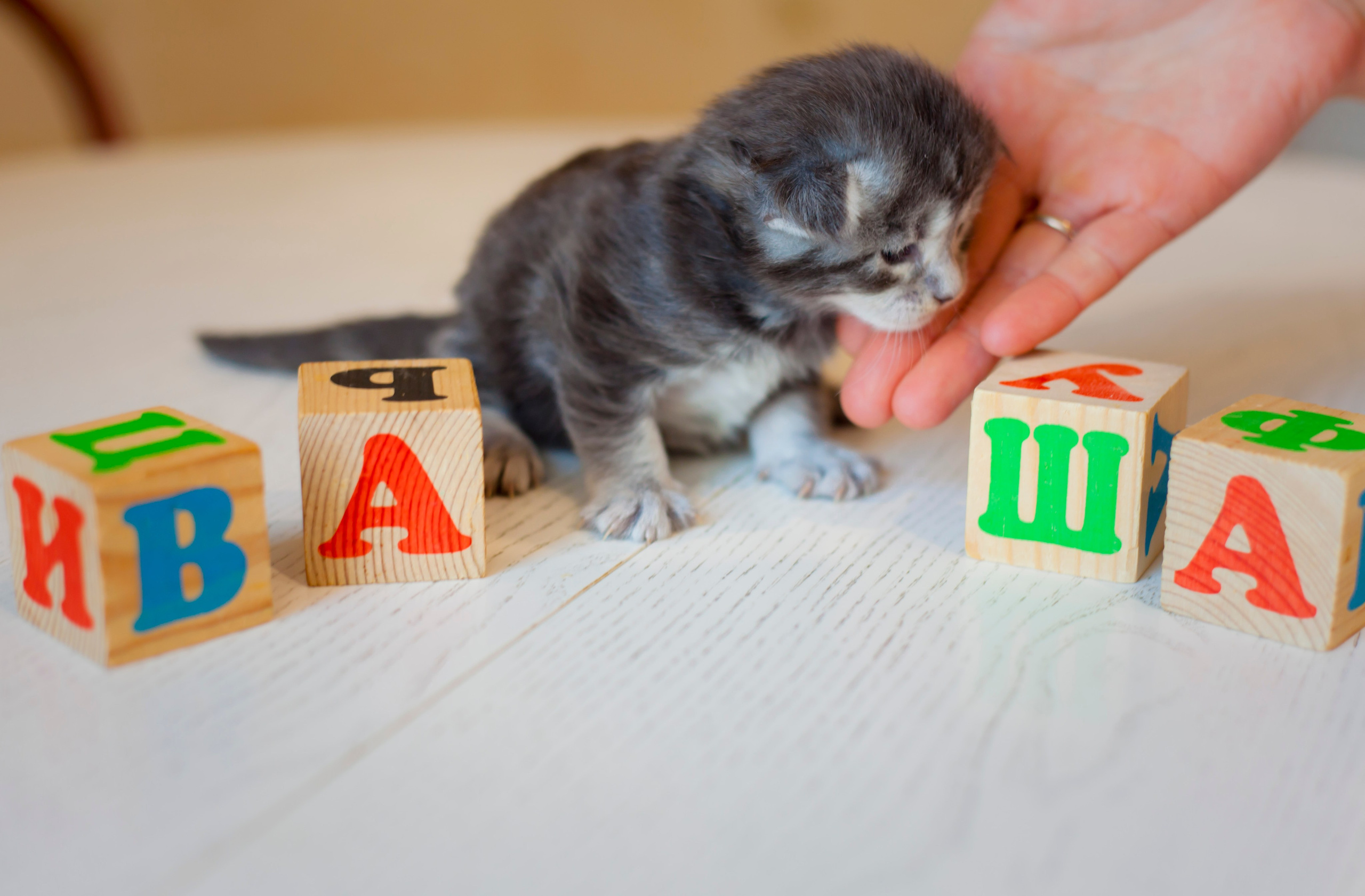Полина, маркетолог. Фотограф Александра Степанова