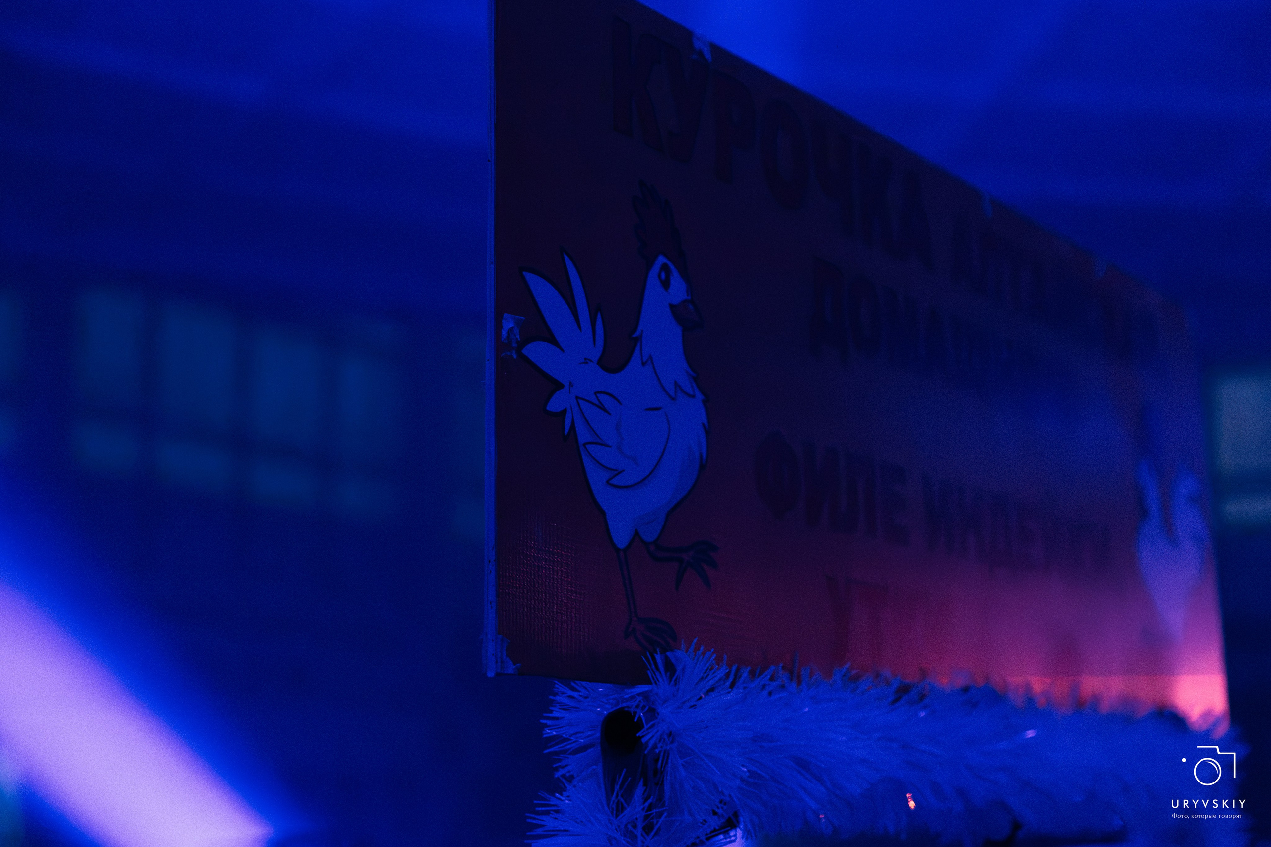 Рейв на Центральном рынке. Игорь Урывский. Фотограф Красноярск