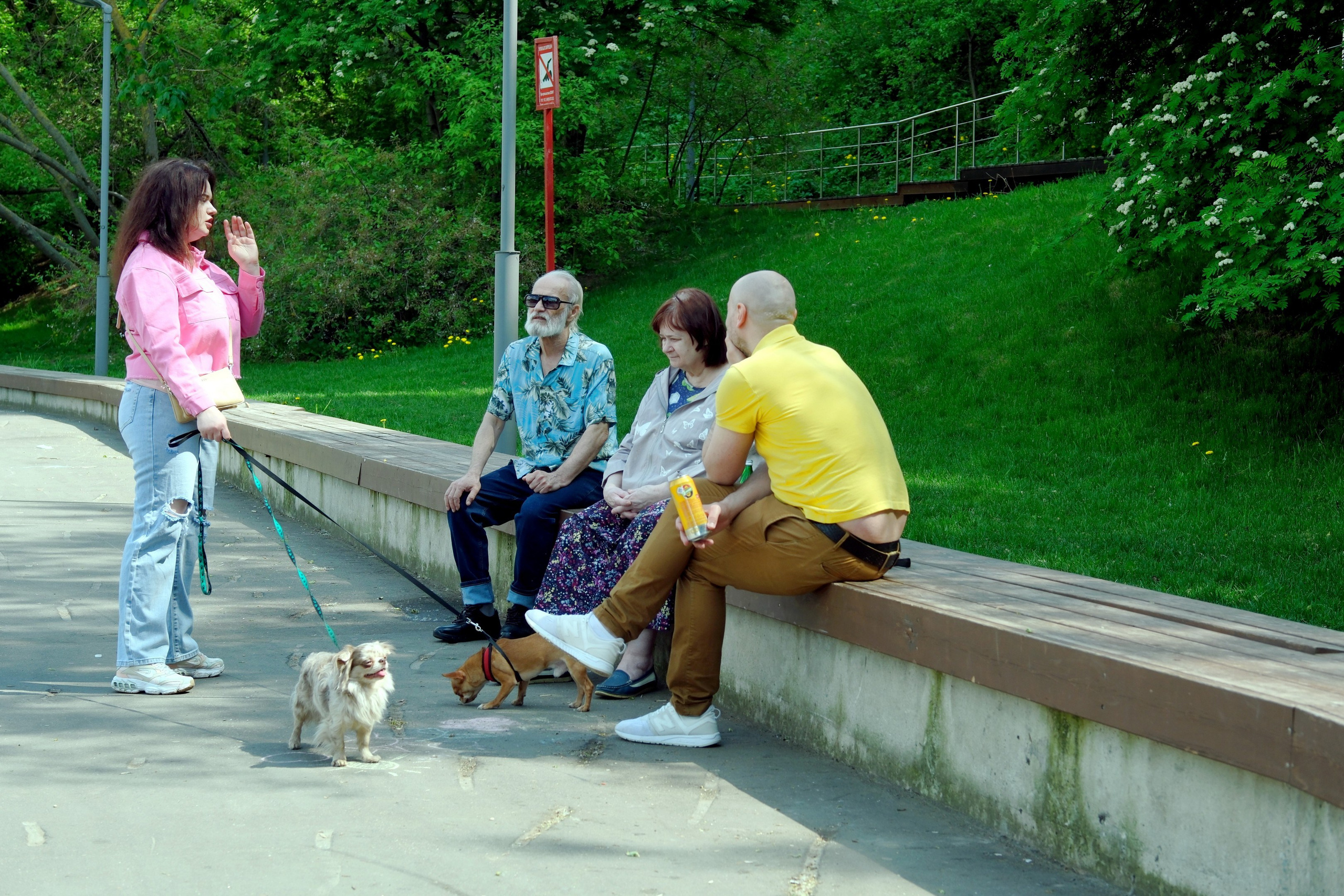 Кировоградские каскадные пруды 2024. Улица, люди, жизнь…