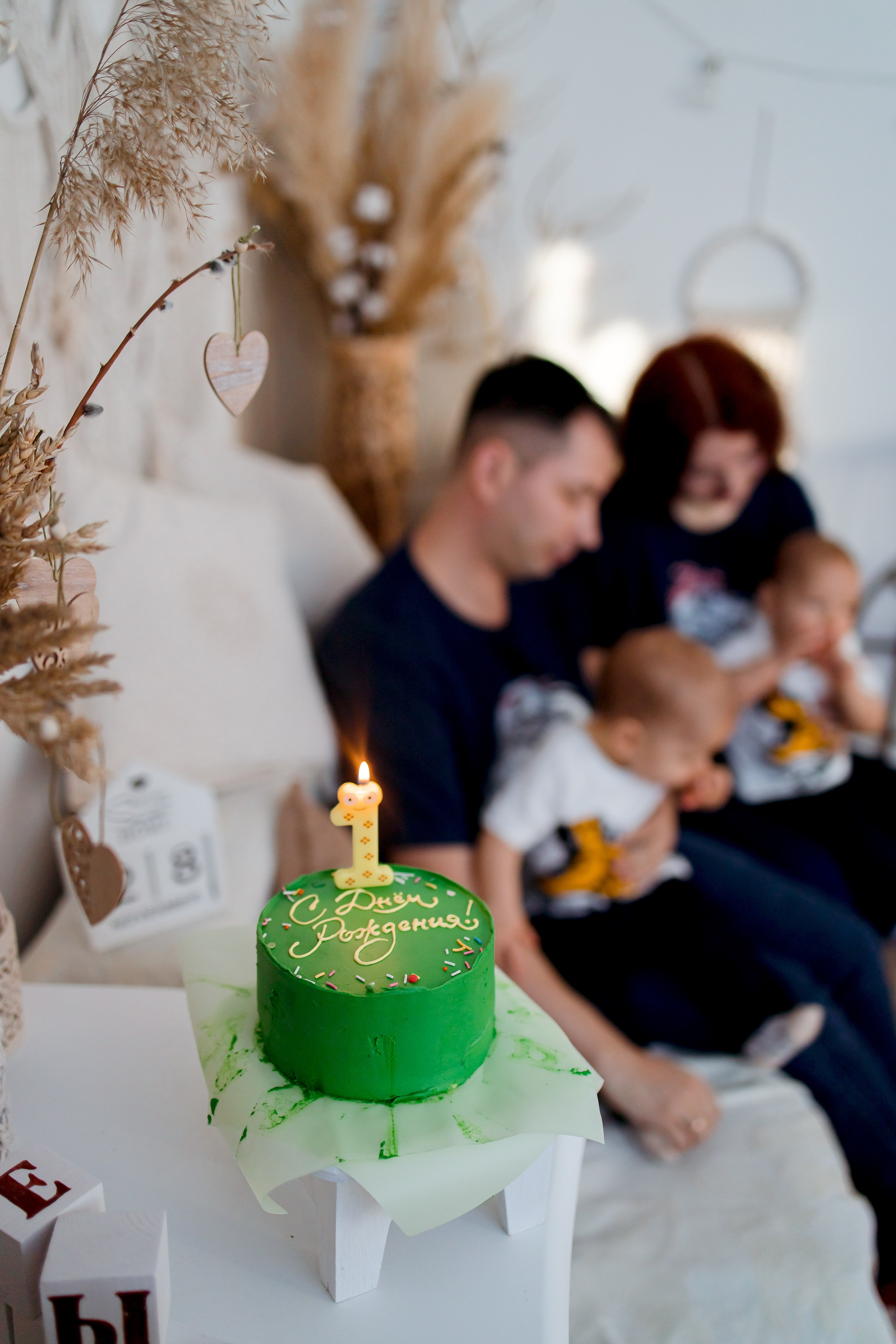 Федя и Лёва, 1 годик. Семейный и детский фотограф в Железногорске Саламахо Ольга