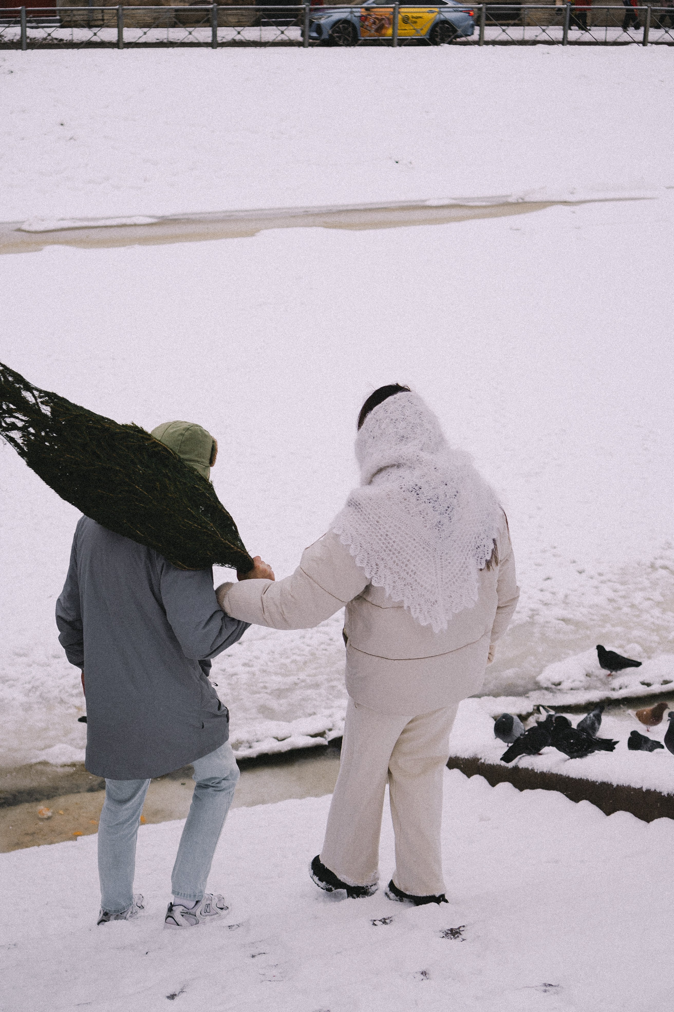 Зимняя история. Профессиональный фотограф, Санкт-Петербург — Виктория Богомолова