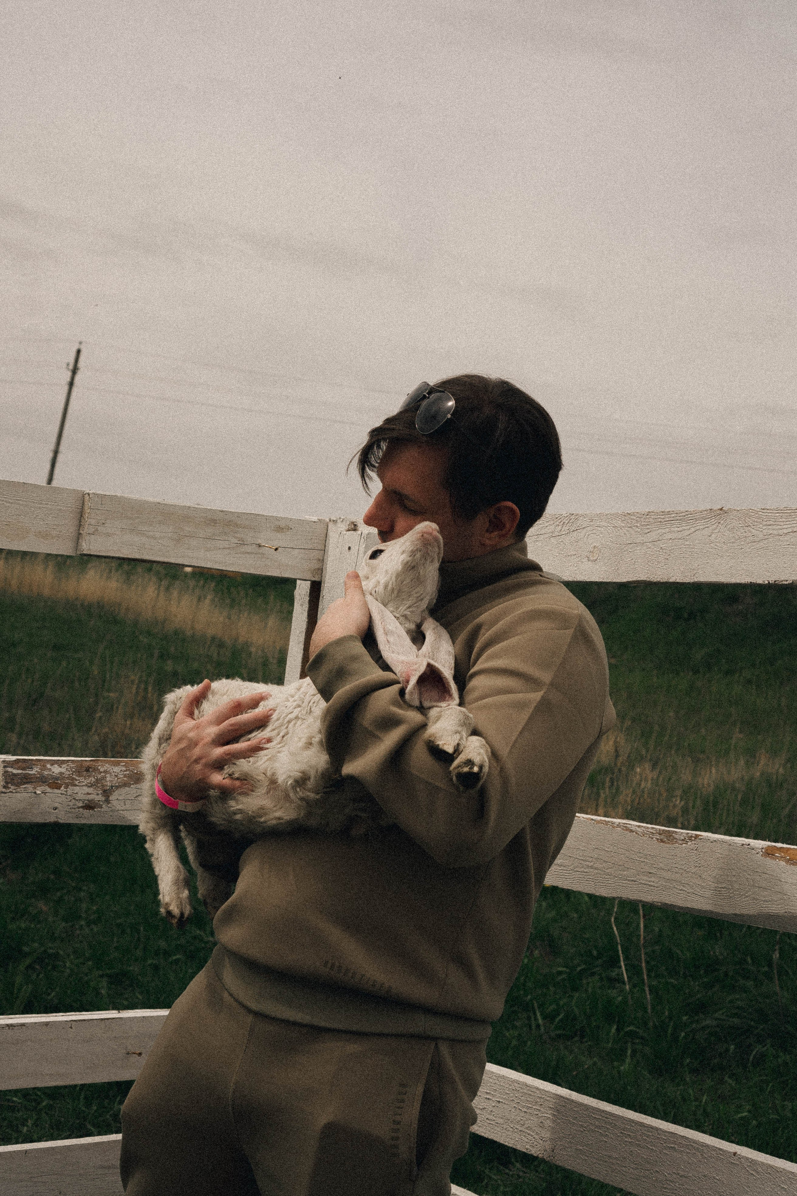 Ферма Альпак. Профессиональный фотограф, Санкт-Петербург — Виктория Богомолова