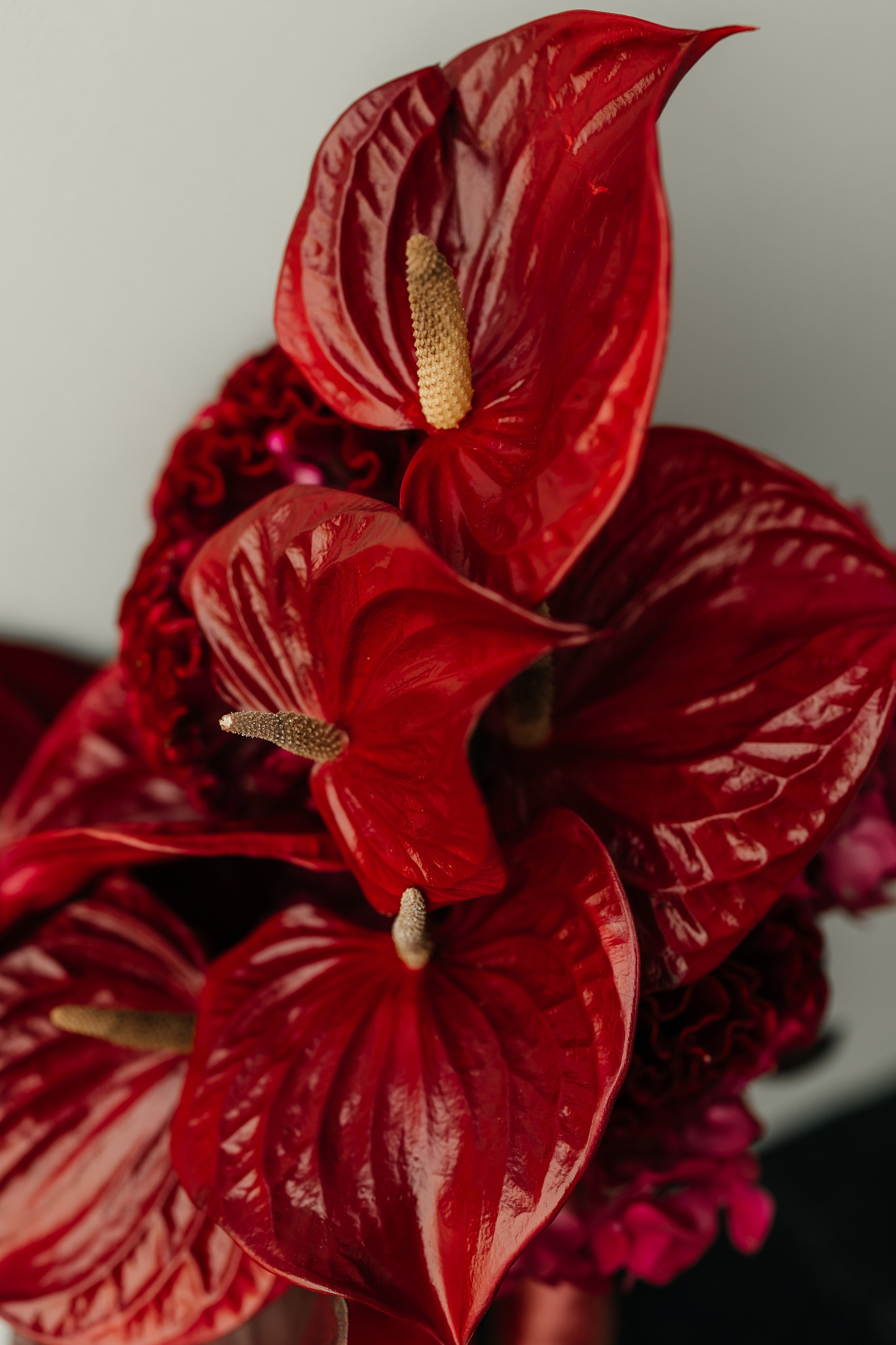 Юрий & Дарья. Свадебный и семейный фотограф в Омске Евгения Хакимова