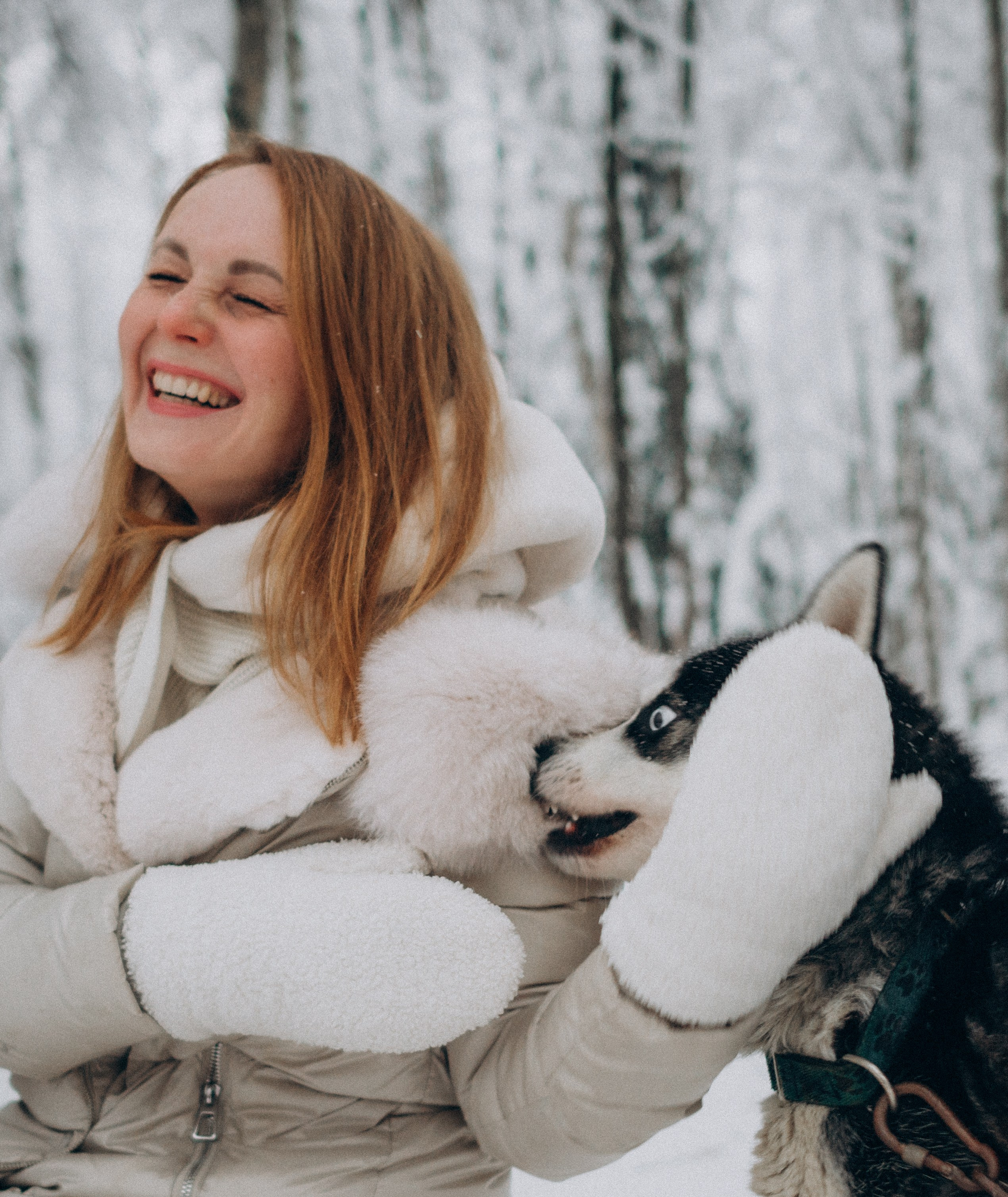 Хаски Терапия. Фотограф Наталья Могилевская Мурманск Териберка Сейдозеро Рыбачий