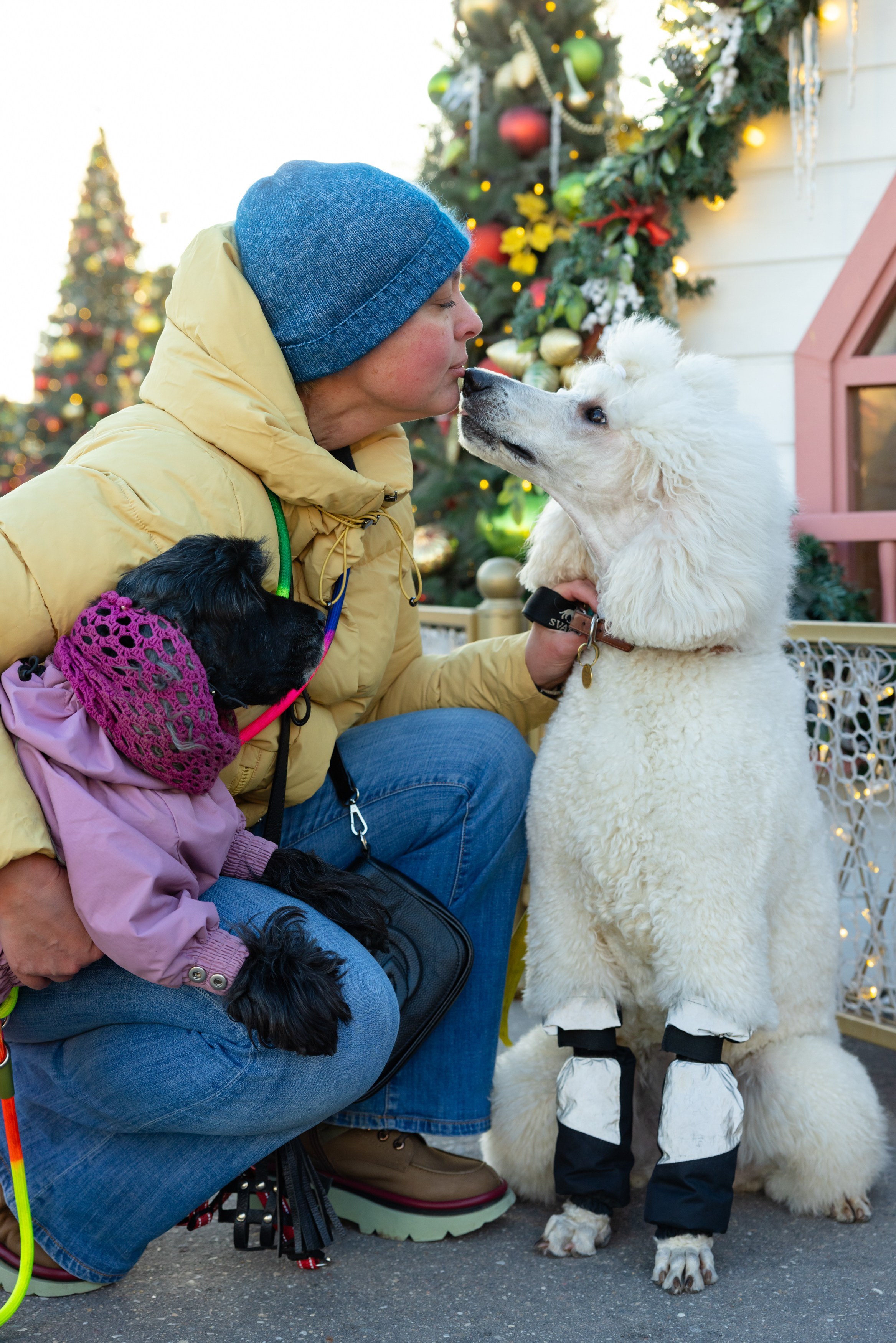 Клуб грумеров (прогулка и семинары). Виктория Зудина — фотограф в Москве