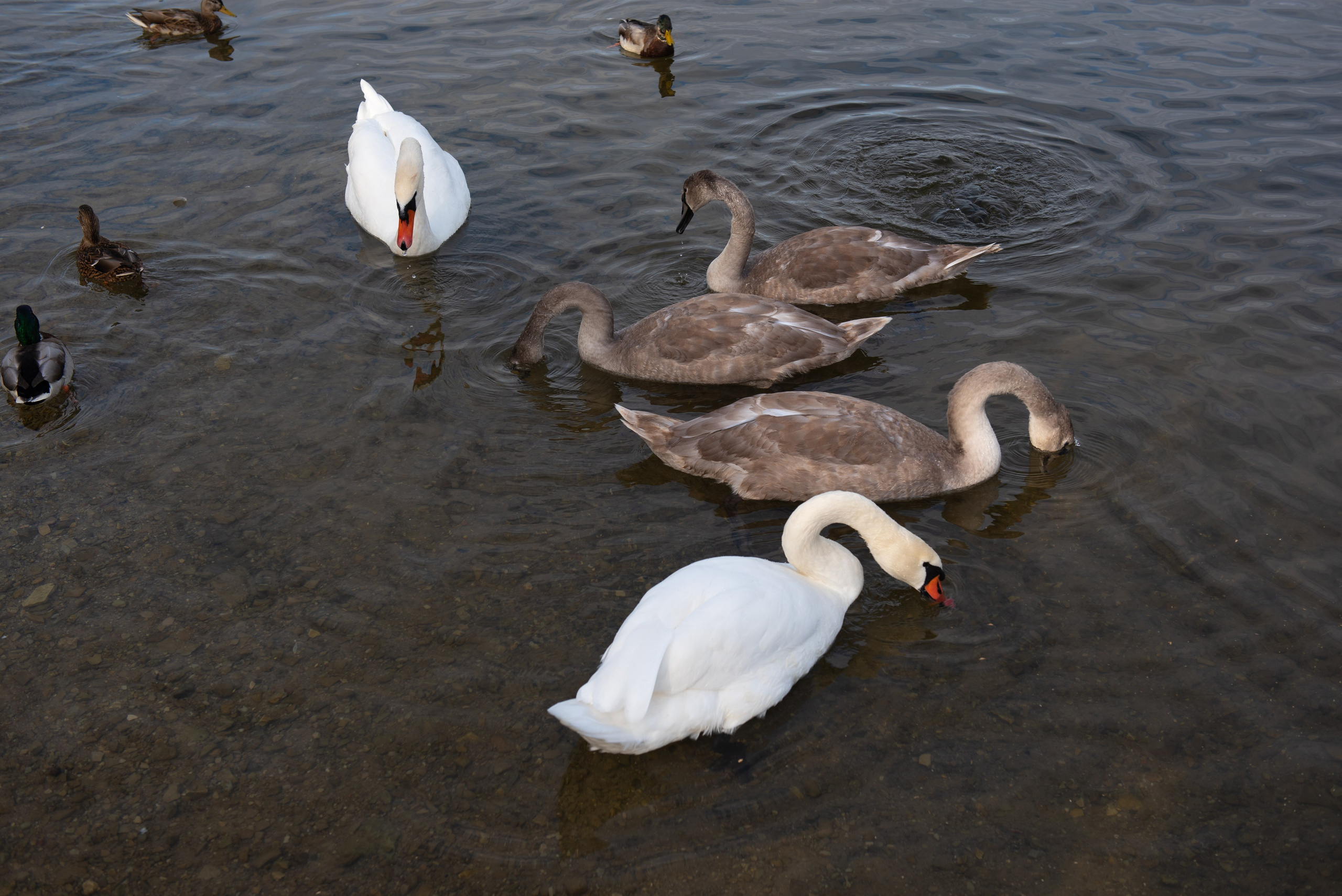 Изборск. Портретный и архитектурный фотограф в Москве и Санкт-Петербурге