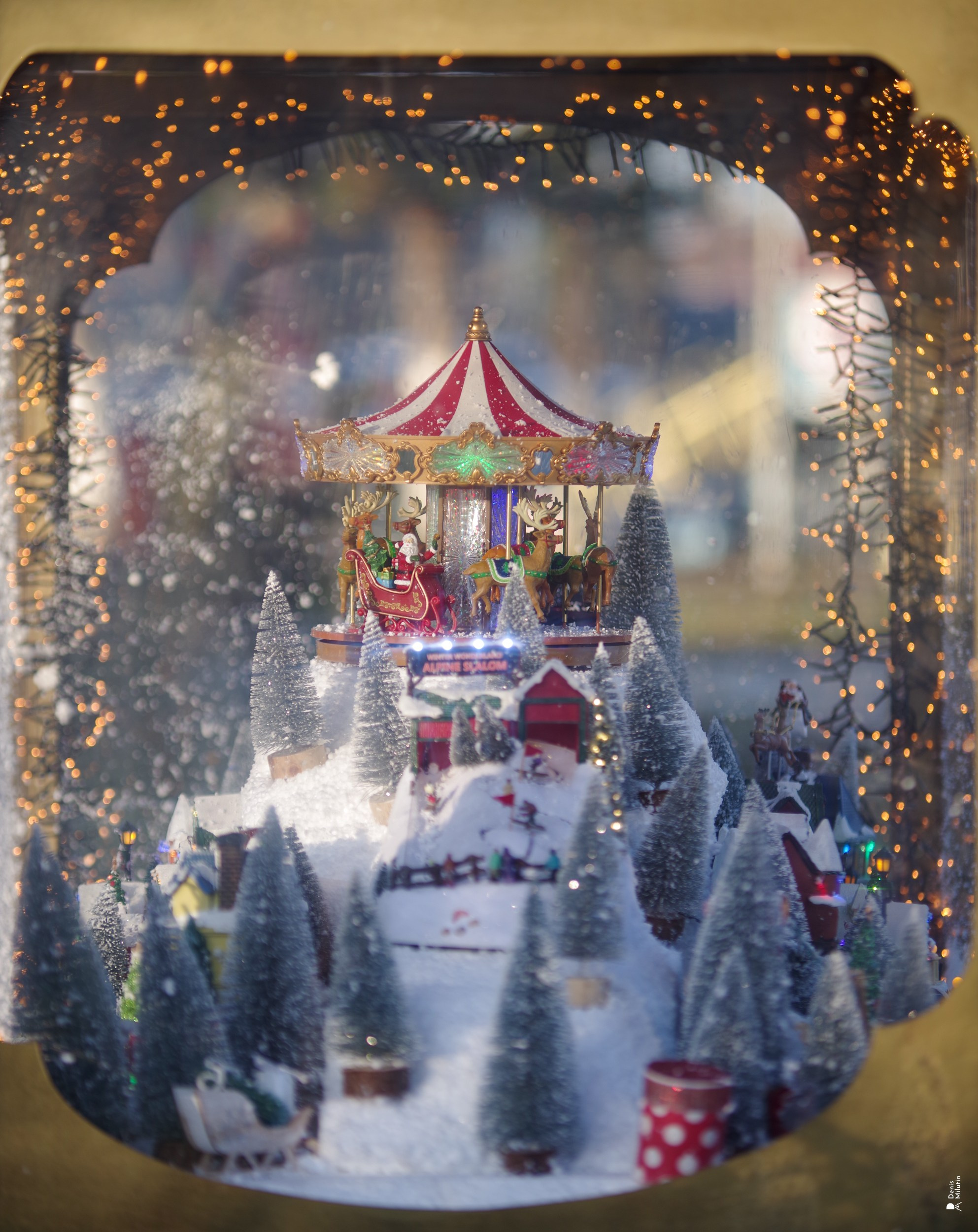 Ёлка в Абаше. Портретный фотограф Денис Милютин