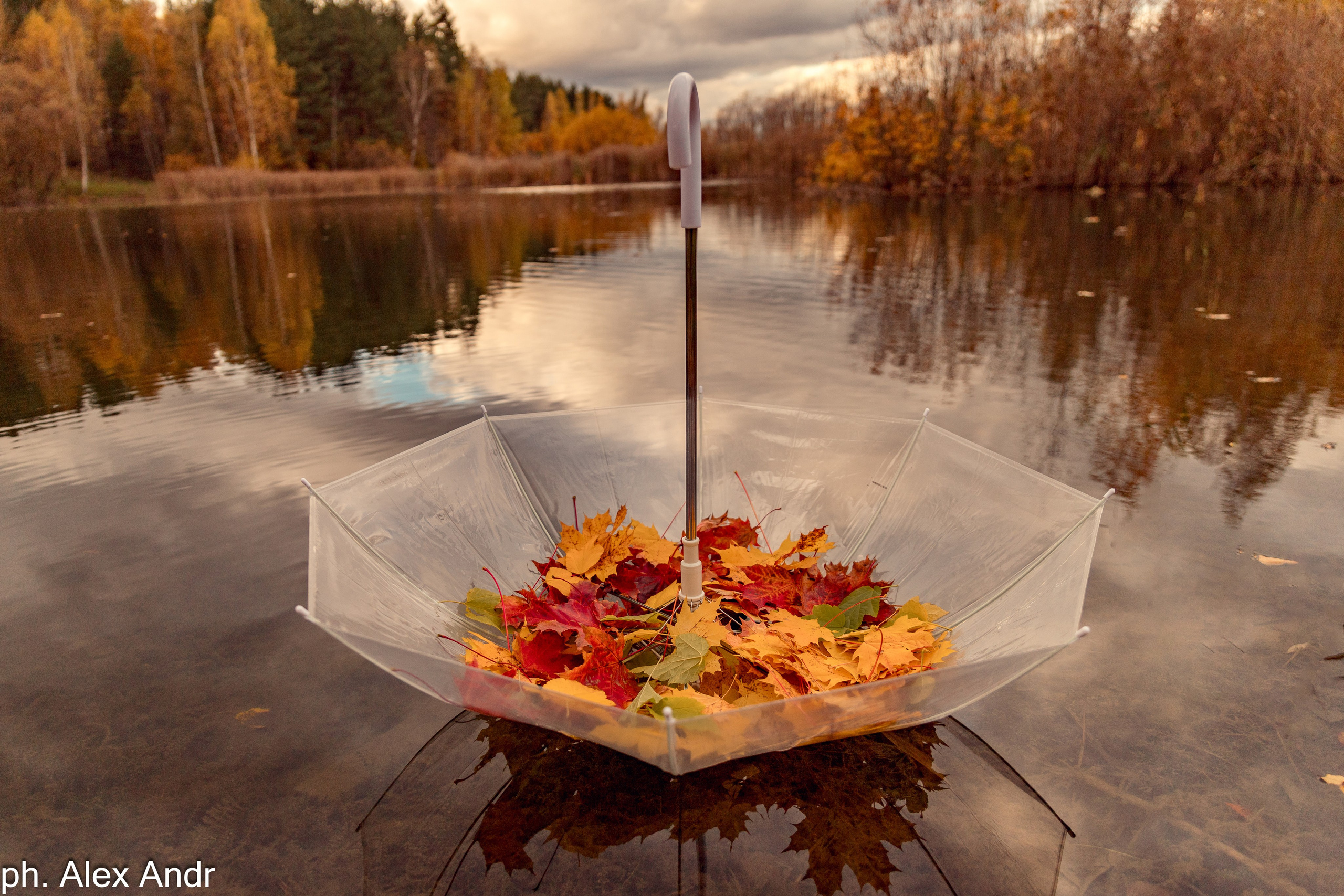 Alex Andr фотограф Москва и МО