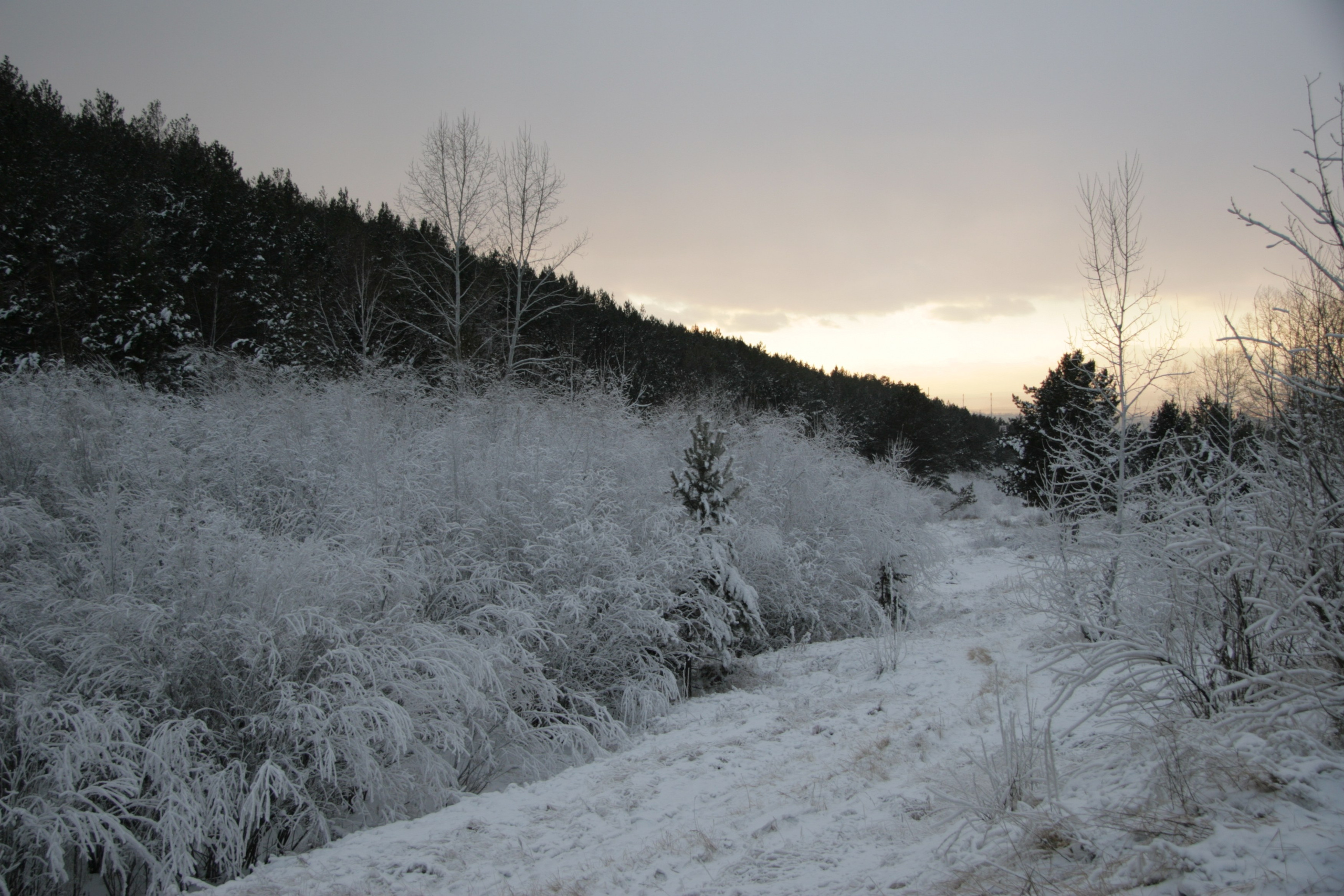 Фото Природы Забайкалья. Студия Максима Белослюдцева