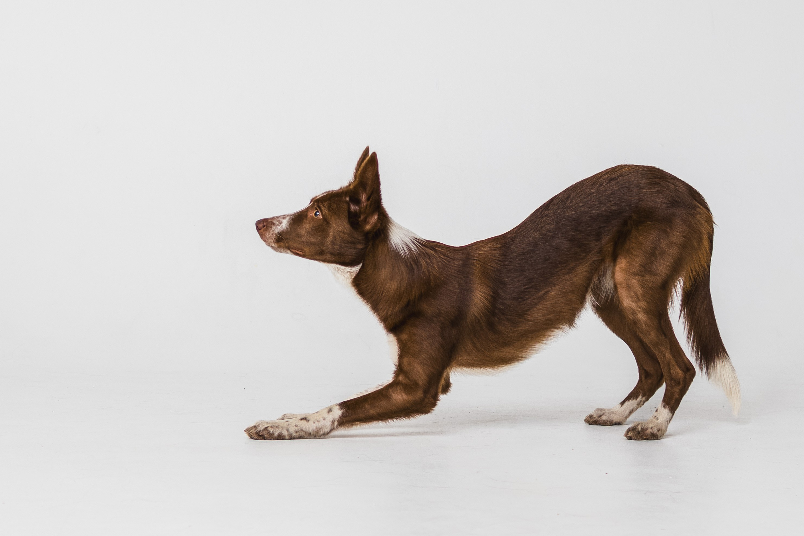 Воркшоп по импульсному свету